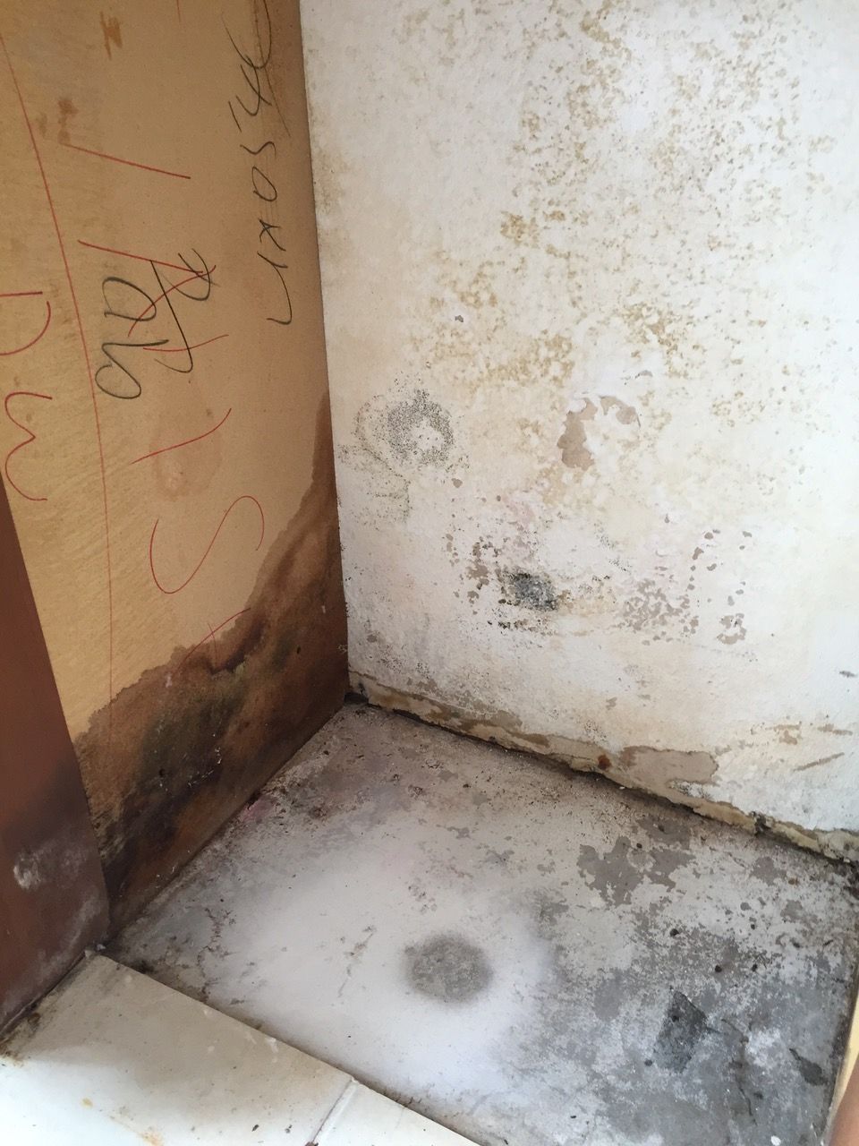 Mold and water damage on a corner wall and floor. Brown water stains, peeling paint, and graffiti.