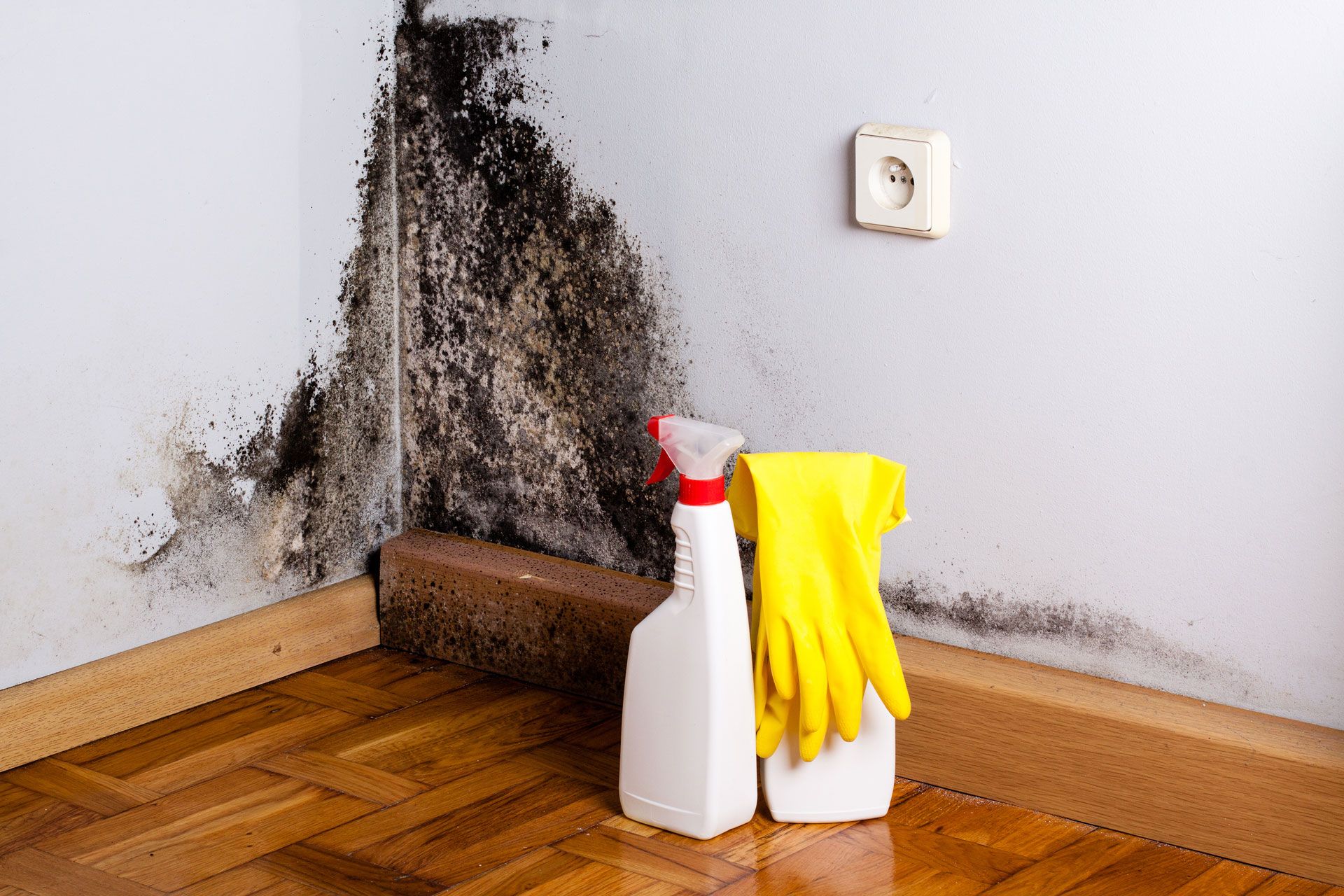 Mold growth on a wall corner, with cleaning supplies including a spray bottle and gloves.