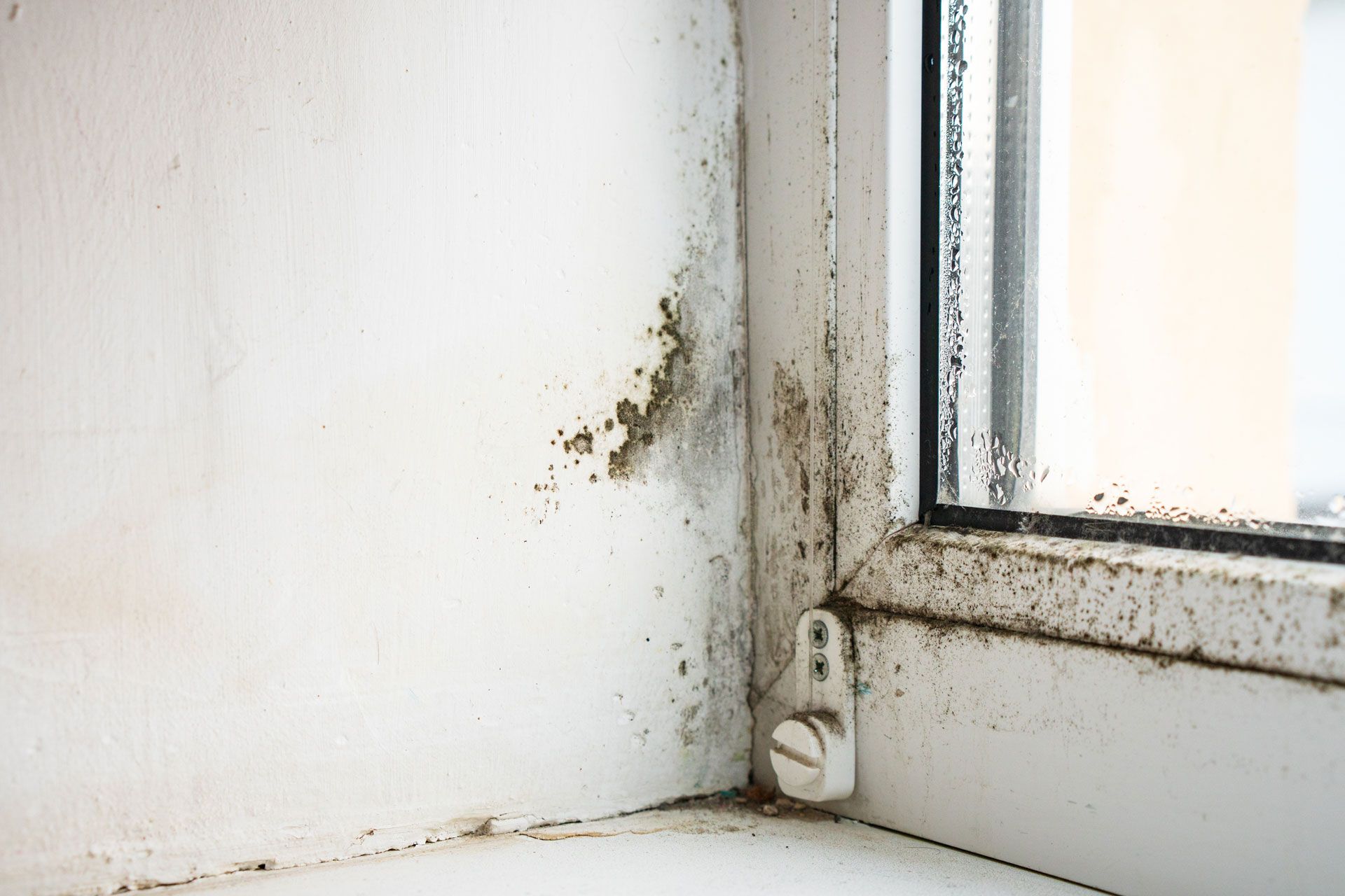 Mold growing on a white window frame and wall in a corner.