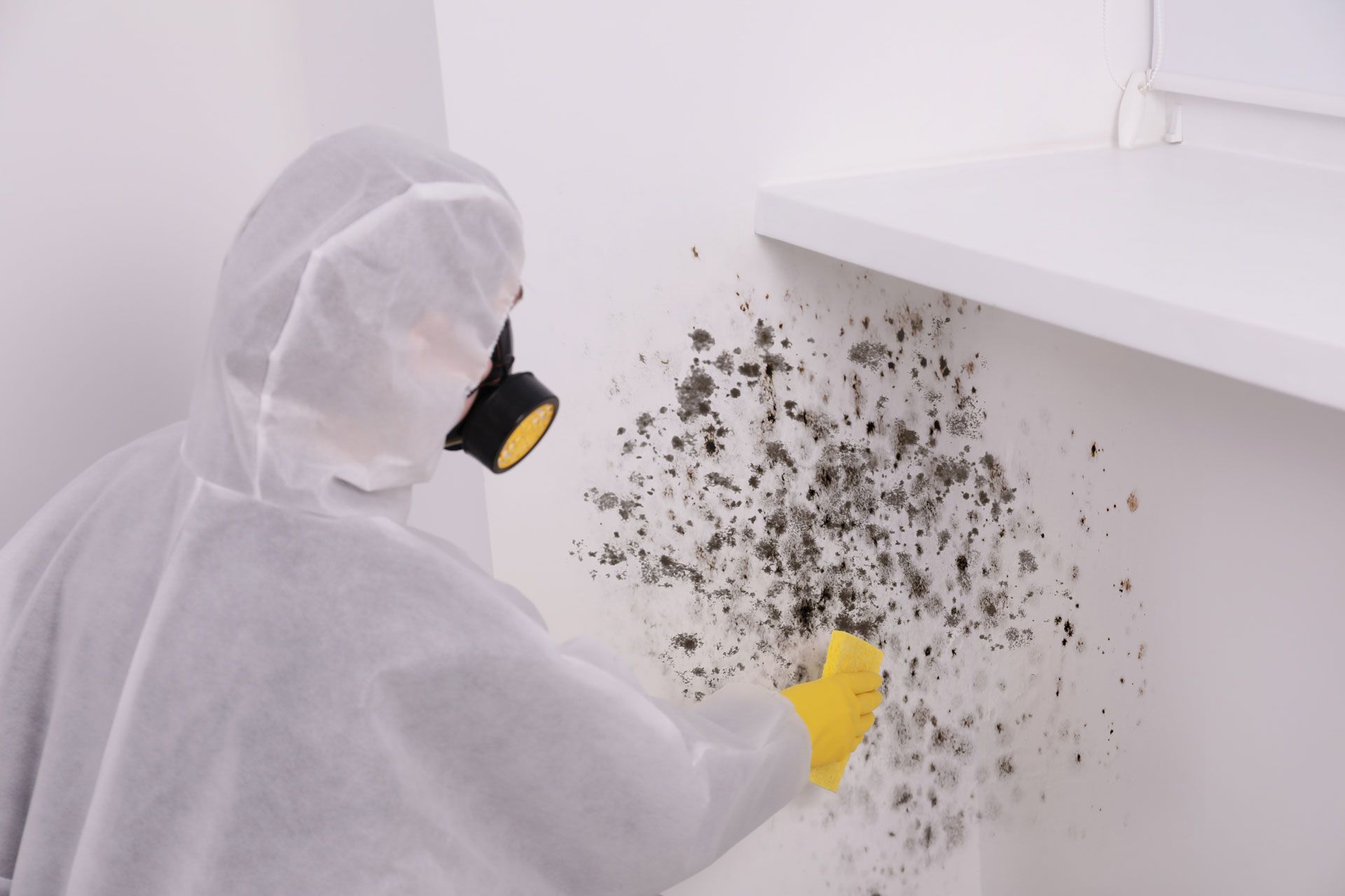 Person in hazmat suit removing mold from a white wall with a yellow gloved hand.