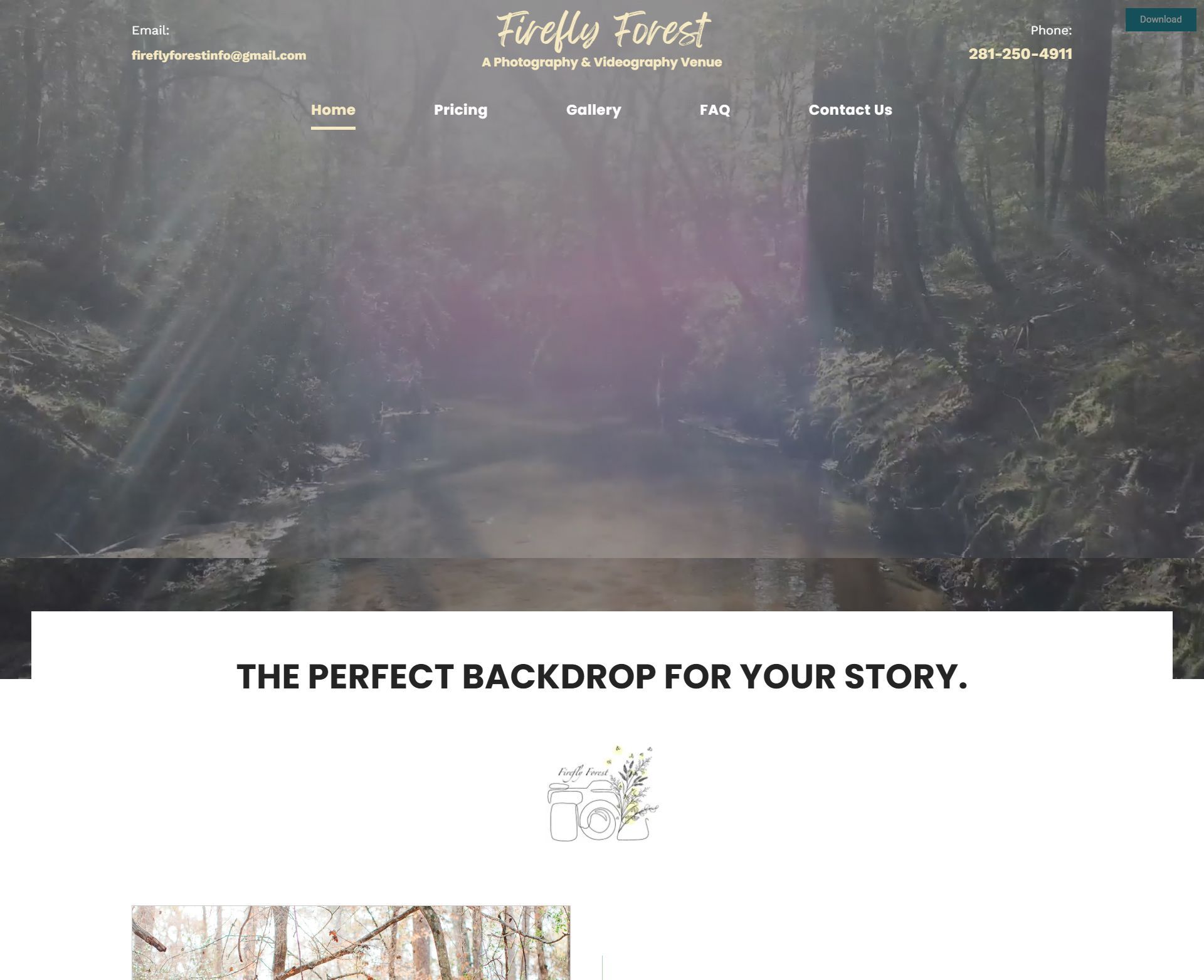 Firefly Forest