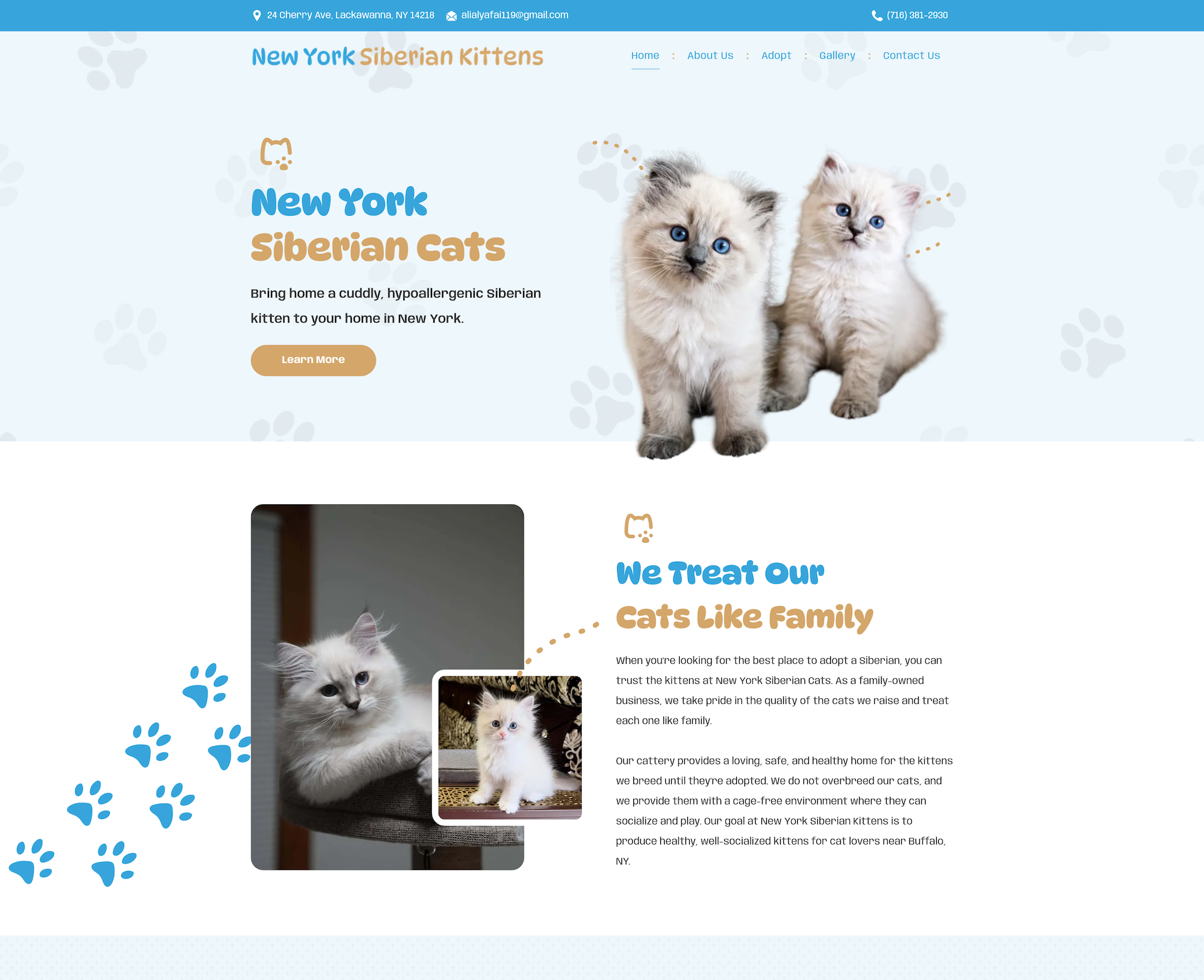 New York Siberian Kittens
