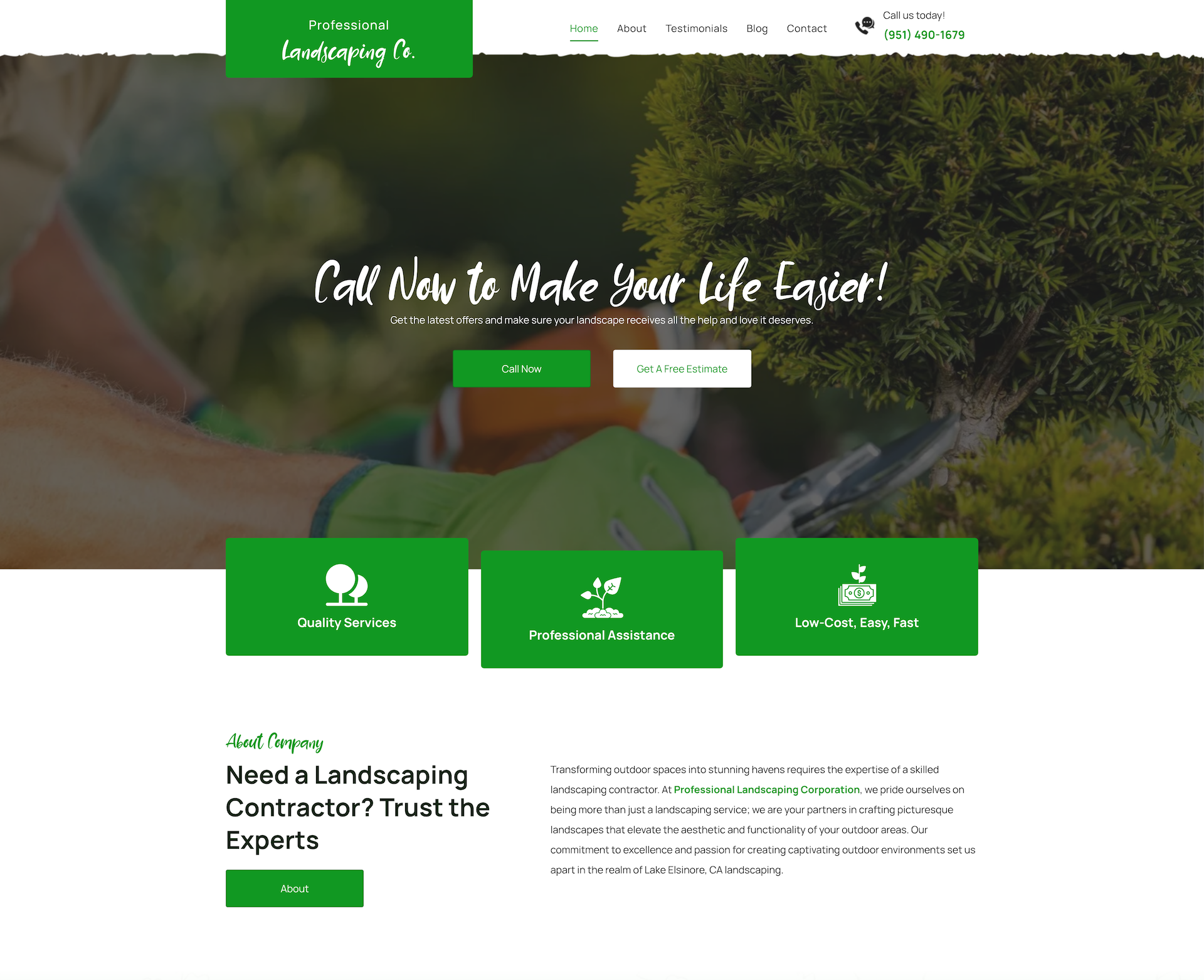 Professional Landscaping