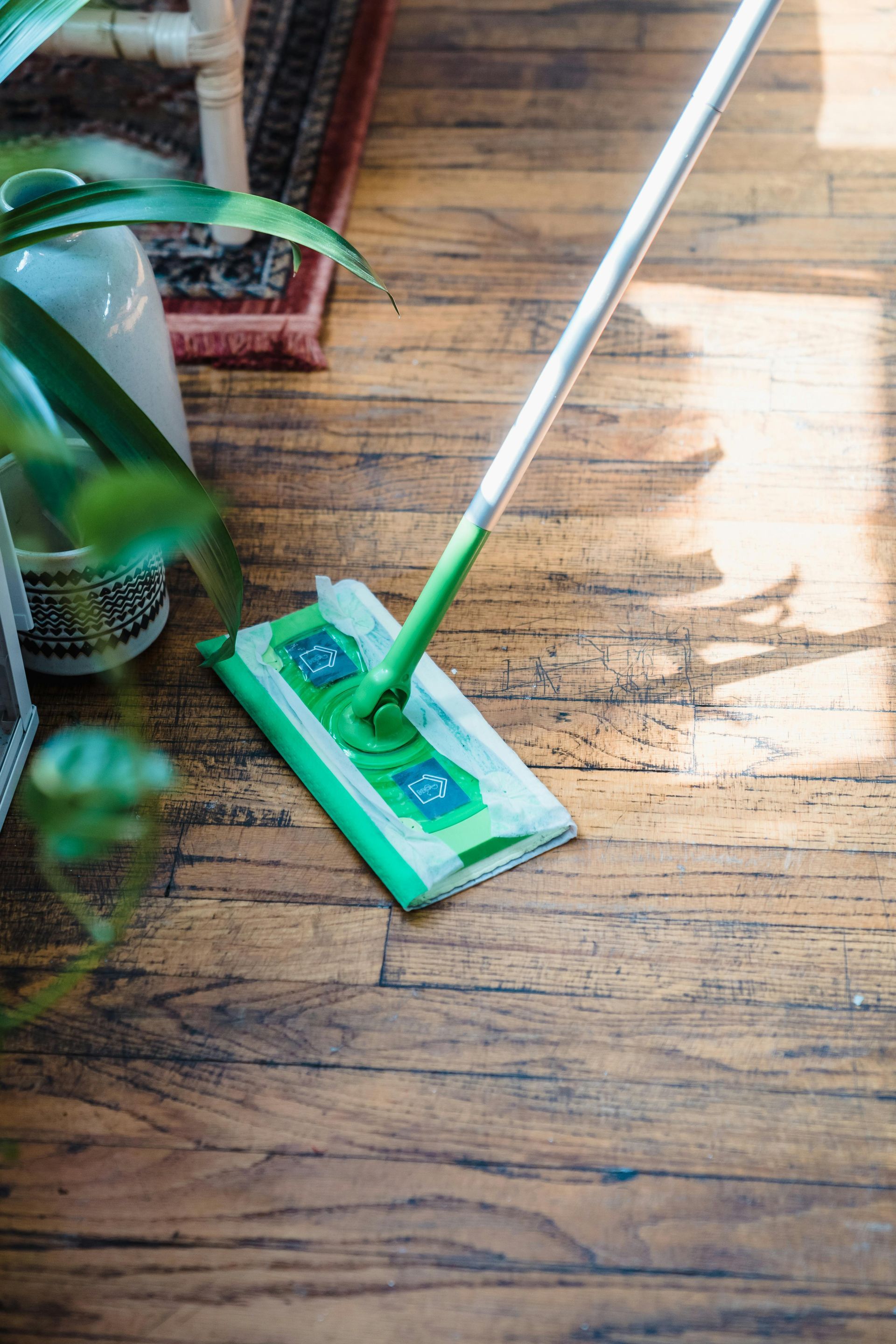 Green mop cleaning wooden floor, near a potted plant and rug.