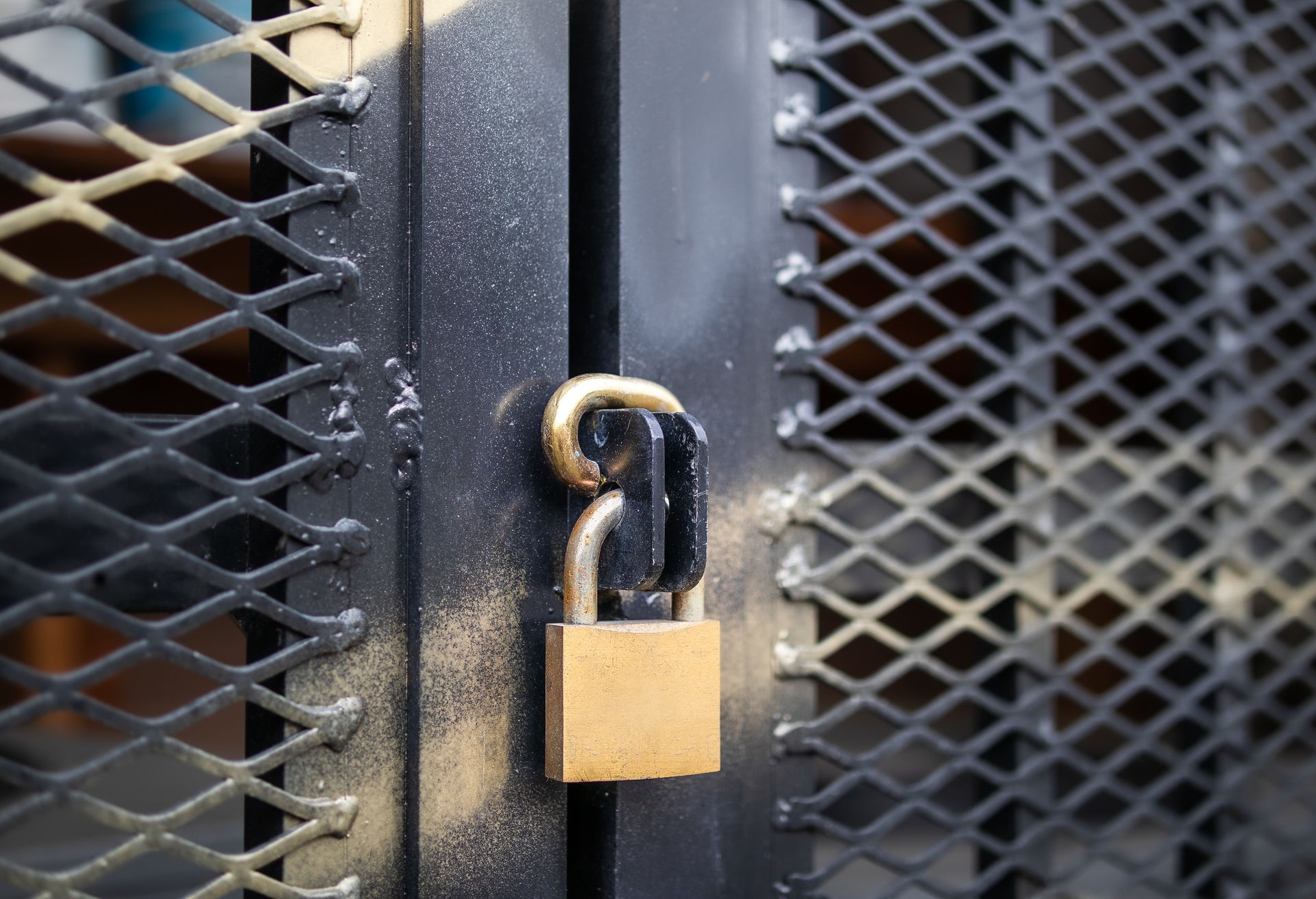 Padlock securing a black metal gate with mesh panels