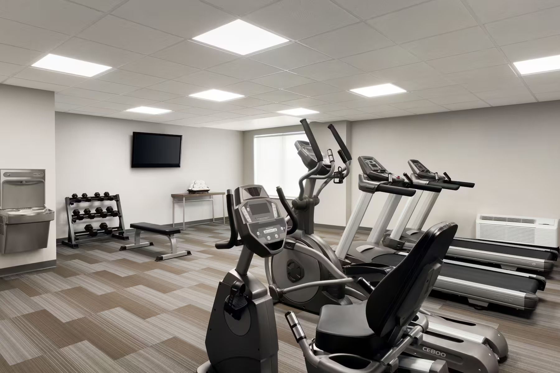 There are many different types of exercise equipment in this gym.