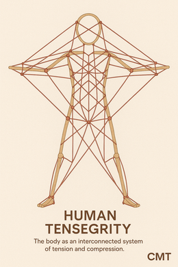 Human silhouette made of intersecting power lines, with the title “HUMAN TENSENITY” below.