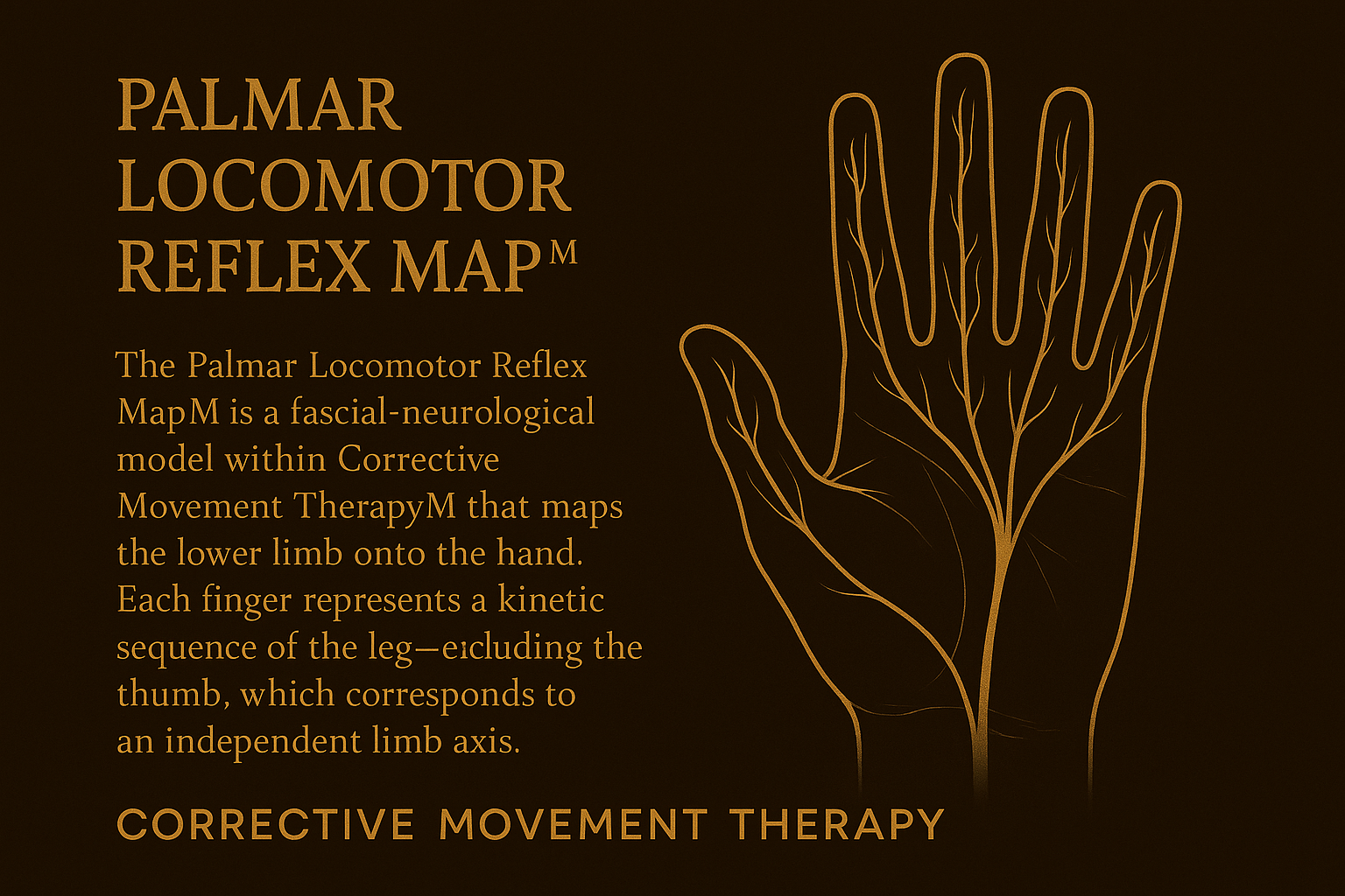Palm diagram with text about palmar locomotor reflex and corrective movement therapy on a dark brown background
