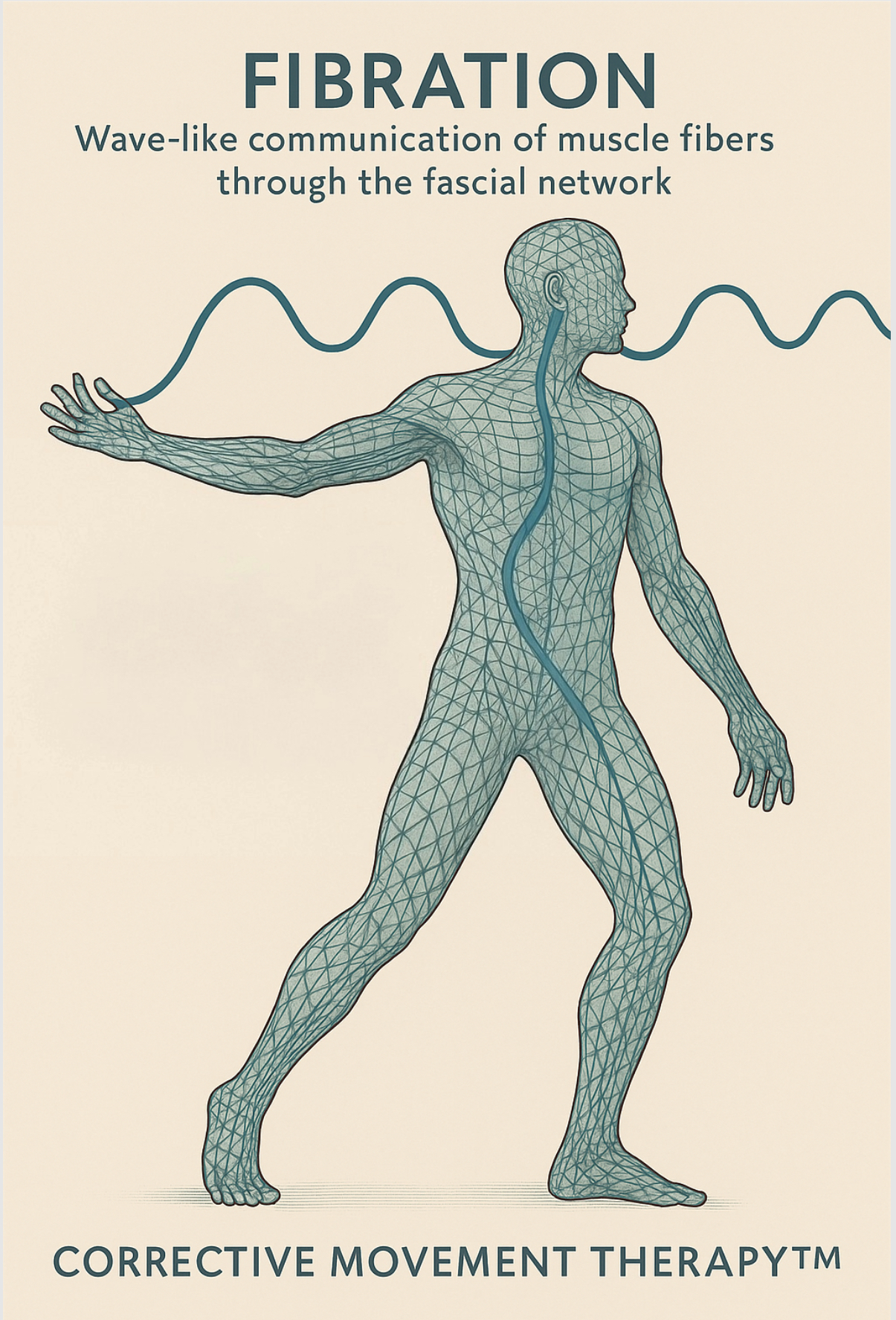 Illustration of a human figure with wave lines, titled “Fibration” and “Corrective Movement Therapy”