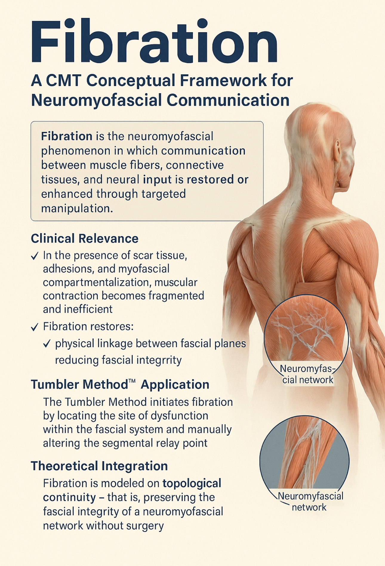 Poster titled “Fibration” with a head diagram and text about a neurofunctional framework for neurocommunicational disconnection