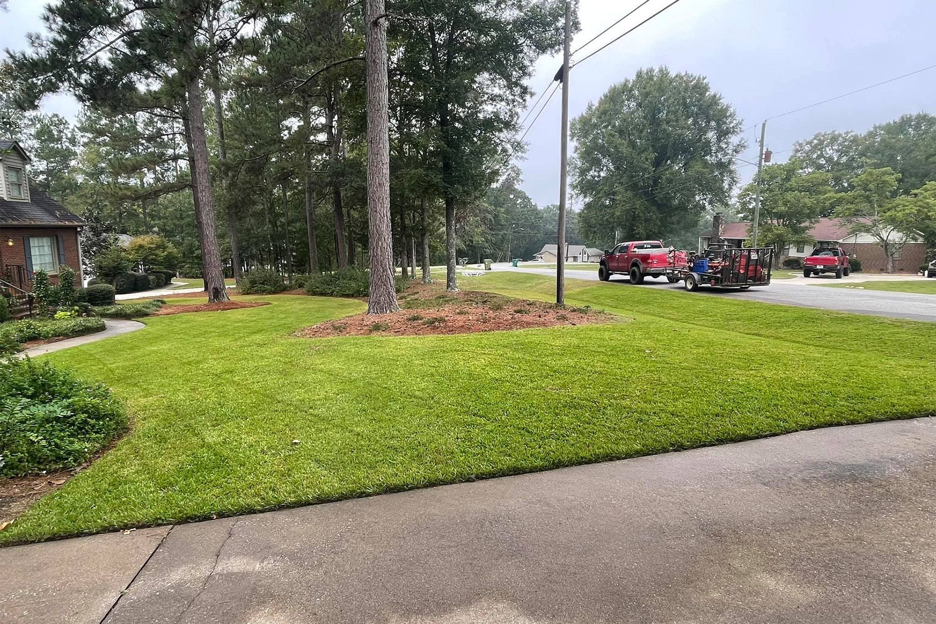 A mowed residential lawn with pine trees and mulch beds, with a red truck and trailer parked on the street in the distance.