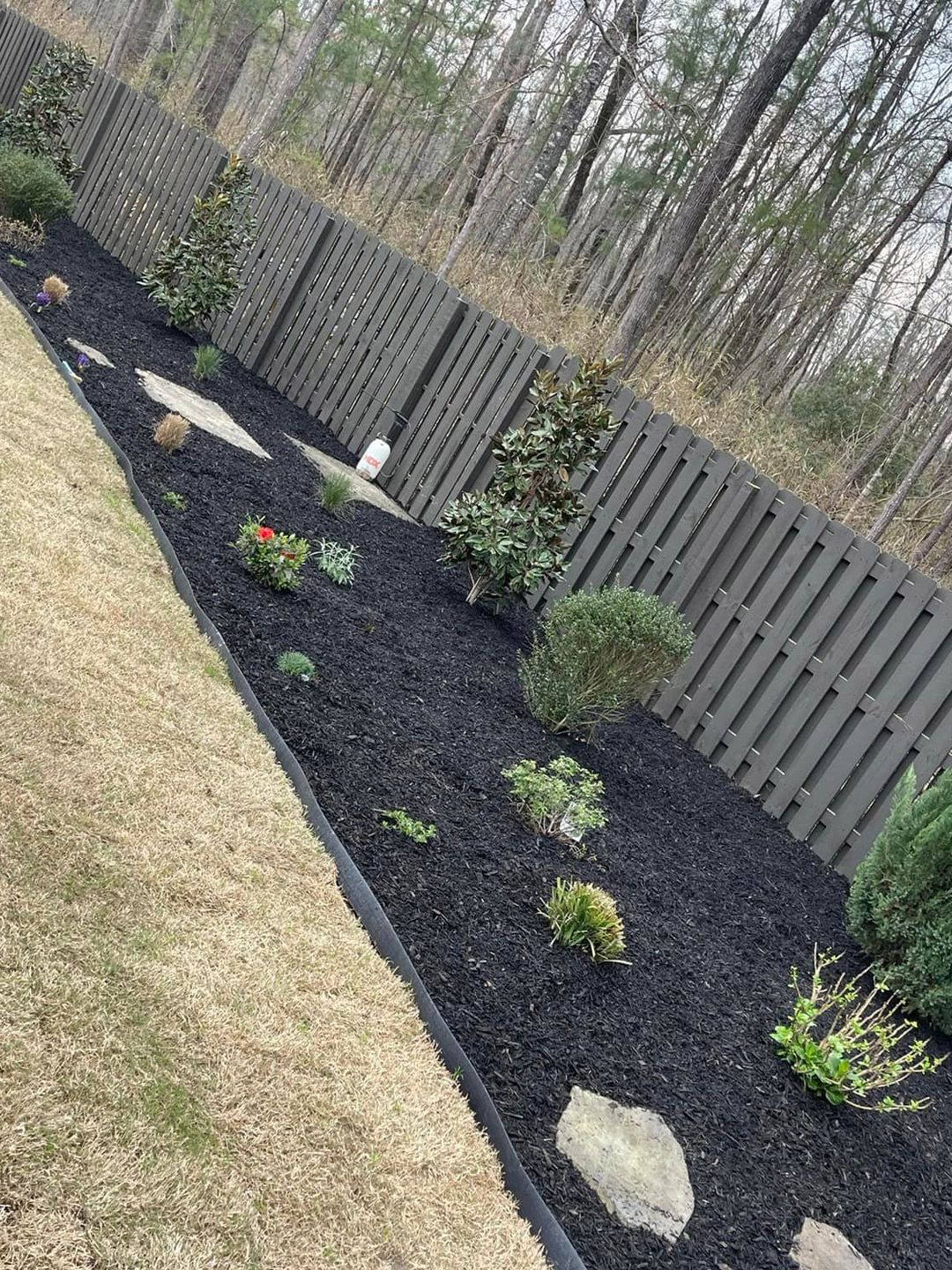 A garden bed with dark mulch, several small green shrubs, and decorative stones borders a fence against a wooded backdrop.