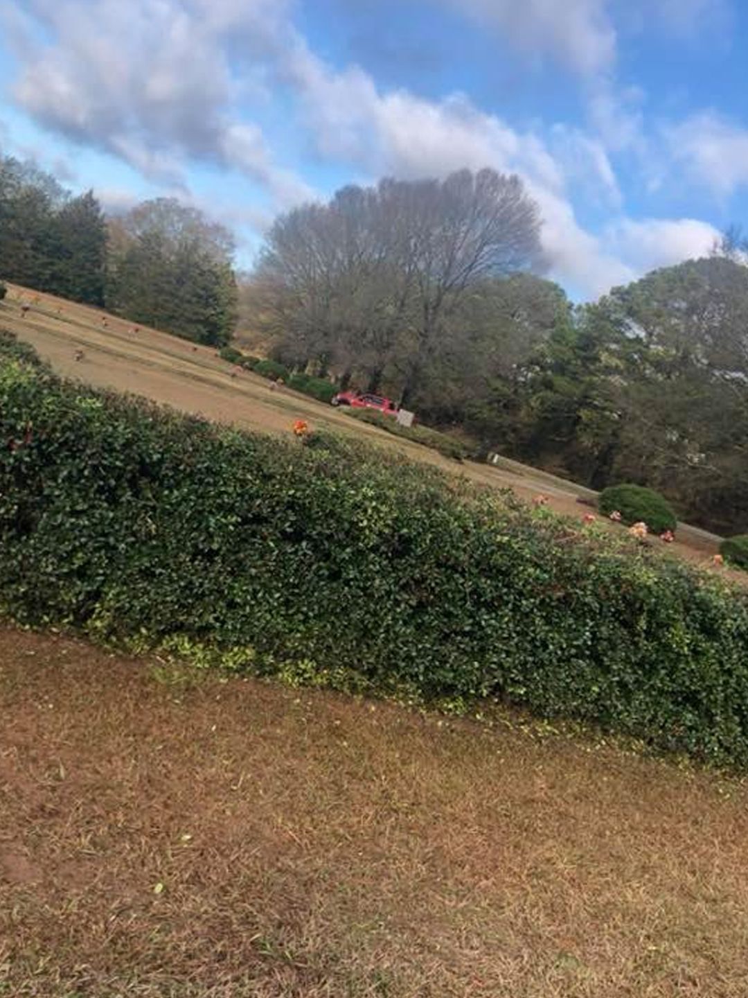 A view of a grassy, sloping field with a thick green hedge in the foreground and trees under a cloudy blue sky.