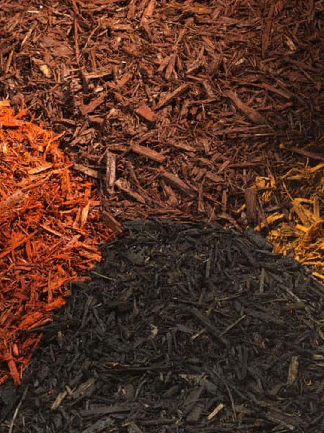 Four distinct piles of wood mulch in vibrant shades of orange, dark brown, black, and light gold, arranged together.