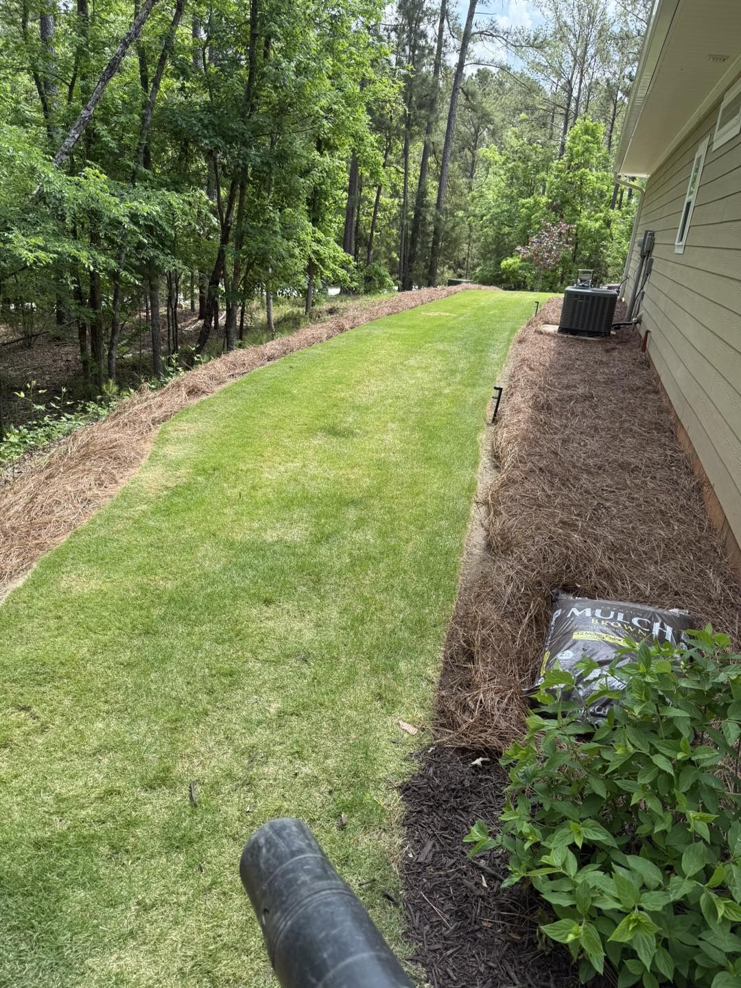 A narrow strip of lawn bordered by mulch beds and a house exterior on the right, with a wooded area in the background.