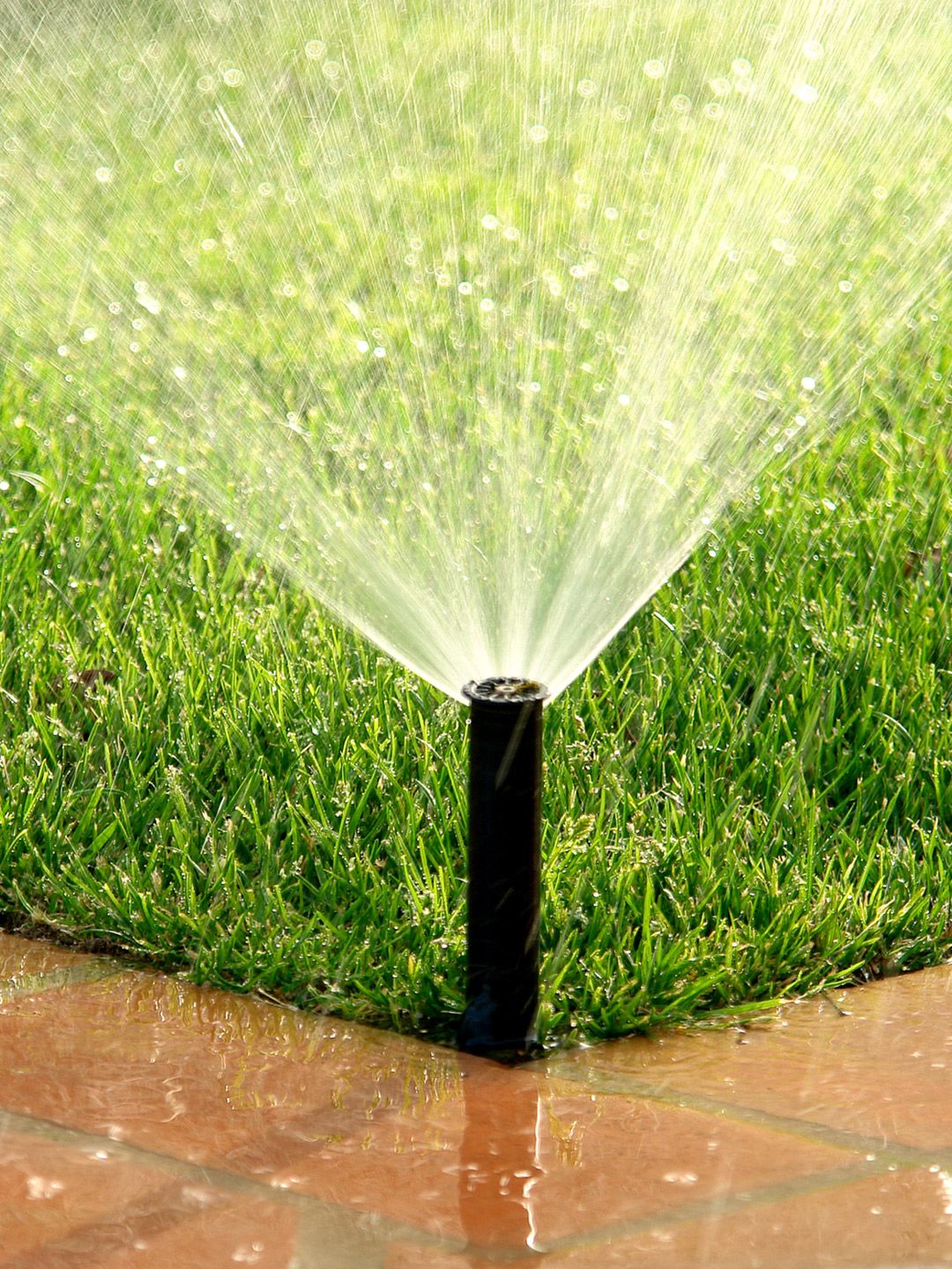 A black lawn sprinkler spraying water over green grass next to a paved stone walkway.