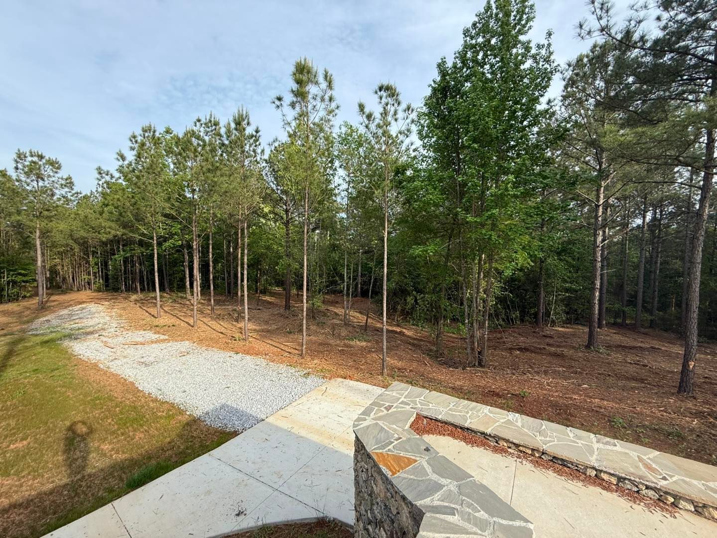 A stone-paved walkway leads toward a wooded area with pine trees, pine straw, and a light-colored gravel path.