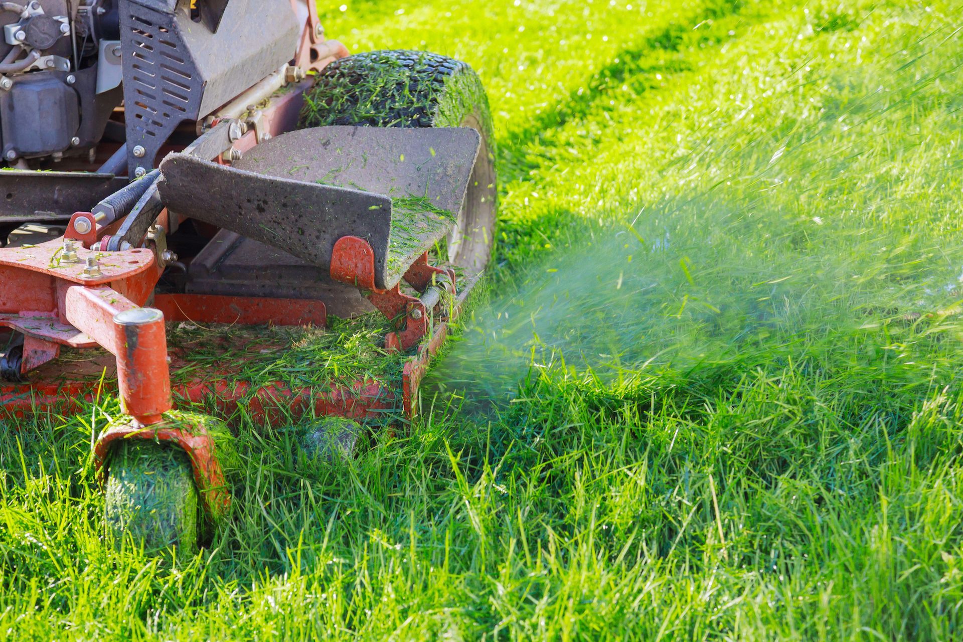 A close-up view of a red mower cutting green grass, with grass clippings flying from the side chute.