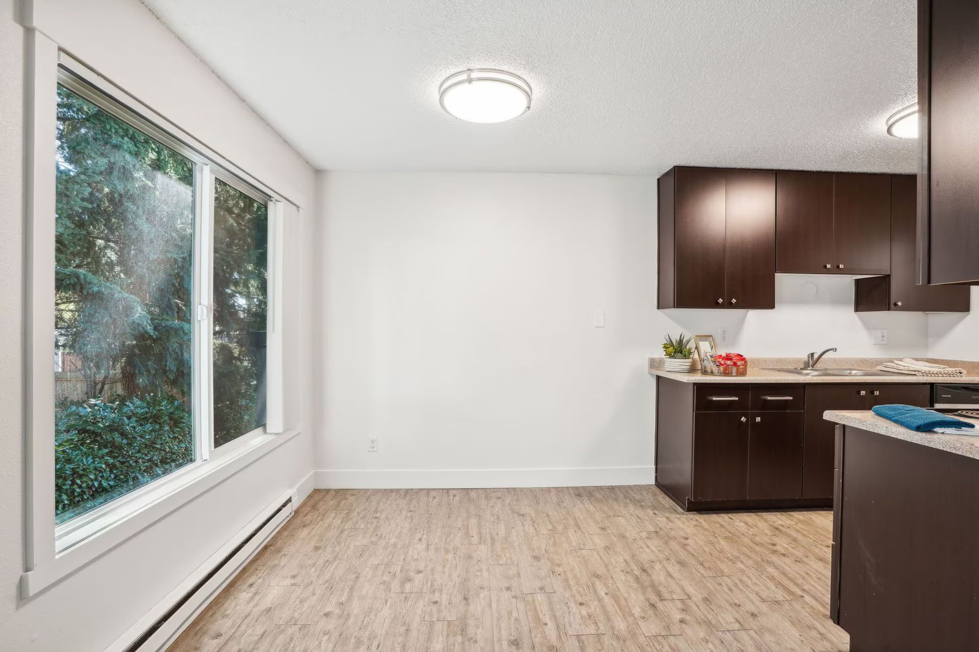 Empty modern kitchen with dark cabinets, light wood floors, and a large window overlooking greenery