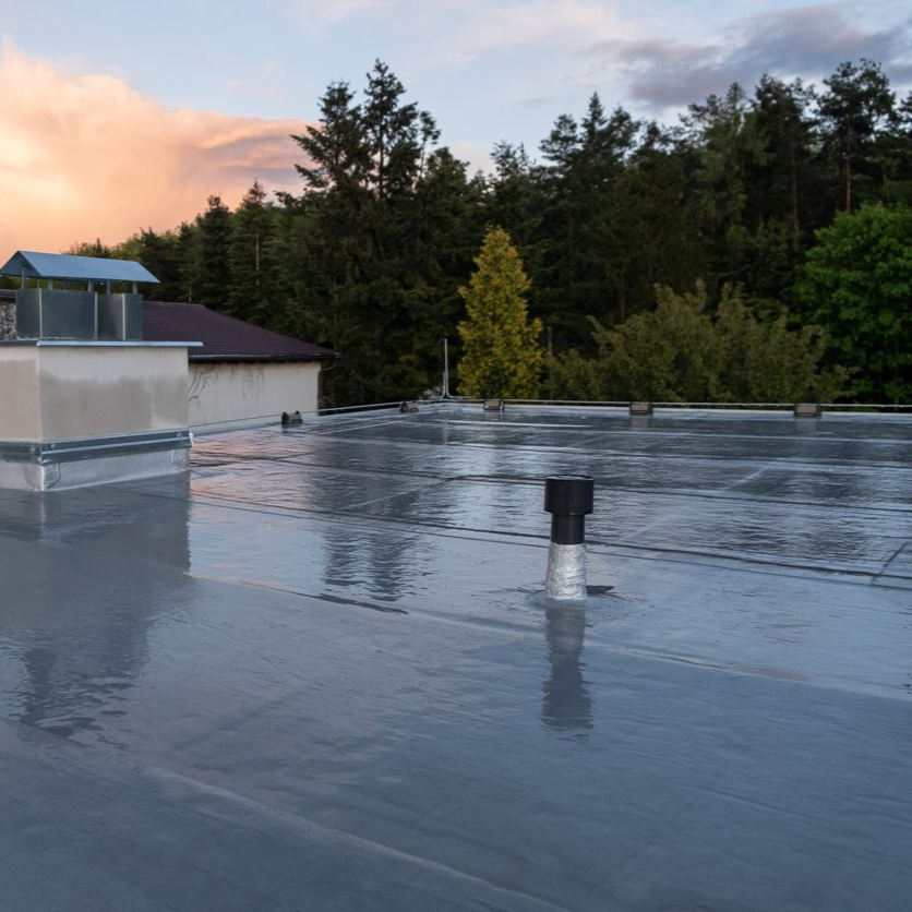 Flat rooftop with a small vent, glossy from rain, at sunset with trees in the background