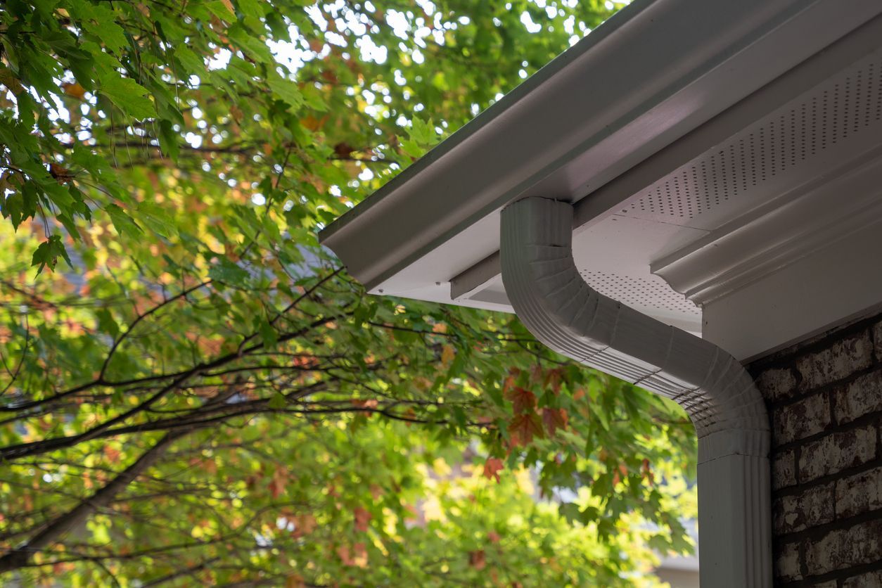 White gutter and downspout on a house roofline beside green tree branches