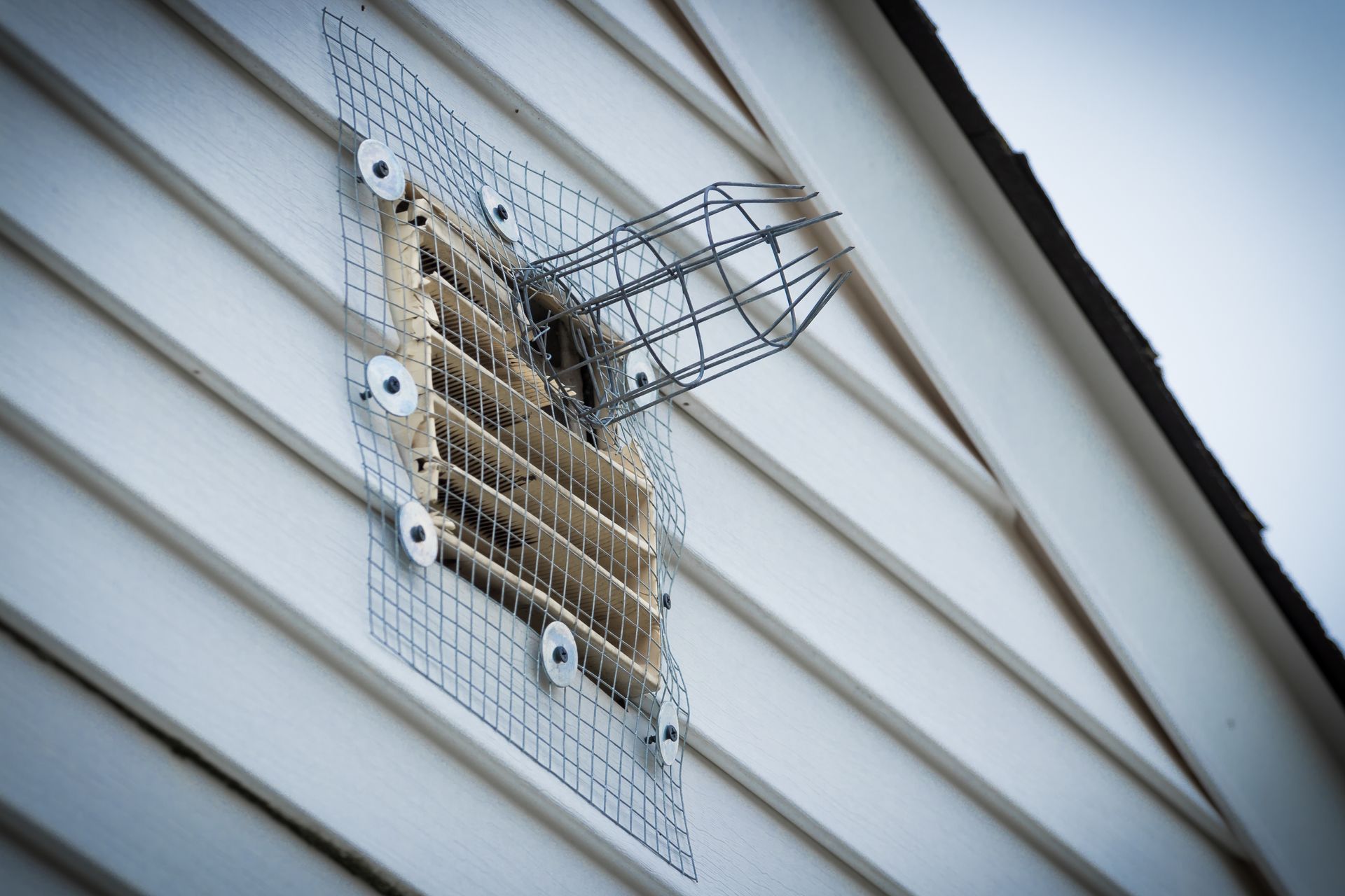 A one-way wildlife exit tunnel and wire mesh installed to eliminate rodents in attic. A one-way wildlife exit tunnel and wire mesh installed to eliminate rodents in attic.