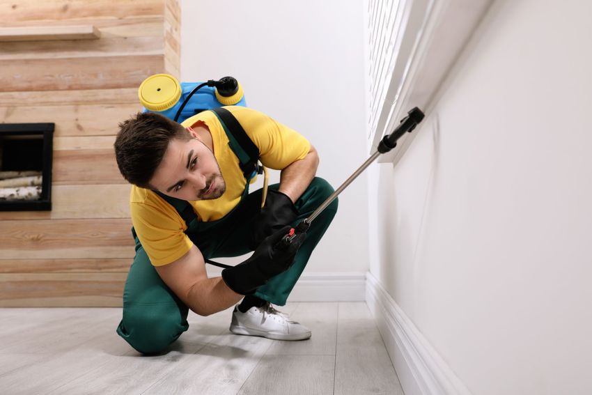 Exterminator in protective gear sprays baseboard indoors for pest control treatment Exterminator in protective gear sprays baseboard indoors for pest control treatment