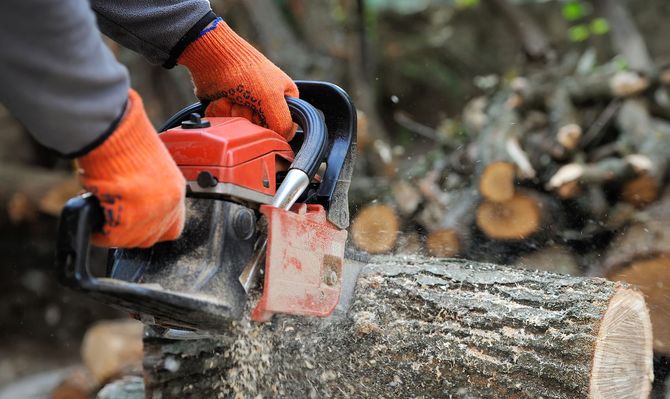 Person in orange gloves using a red chainsaw to cut a wood log.