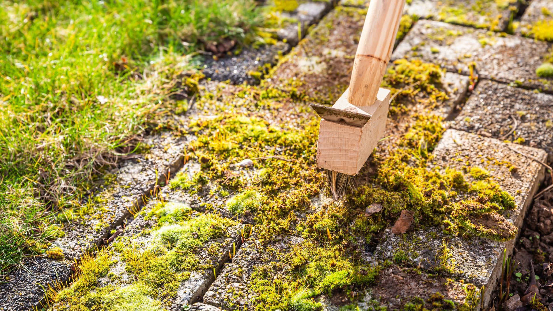 A person is using a hammer to remove moss from a brick walkway.