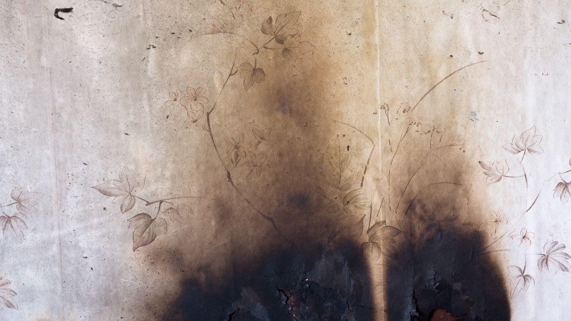 Fire and Smoke Damage Restoration