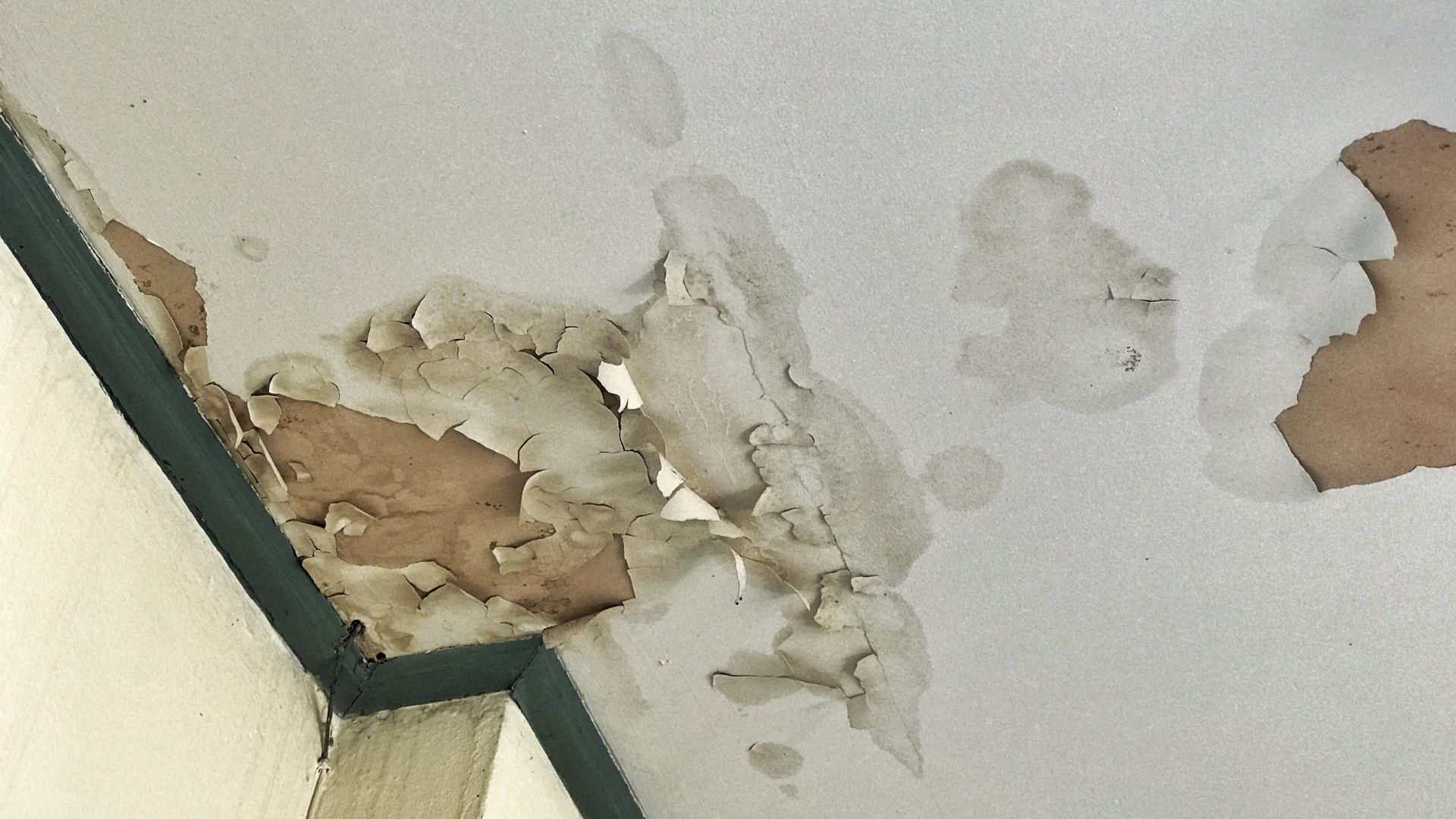 A close up of a ceiling with peeling paint on it.