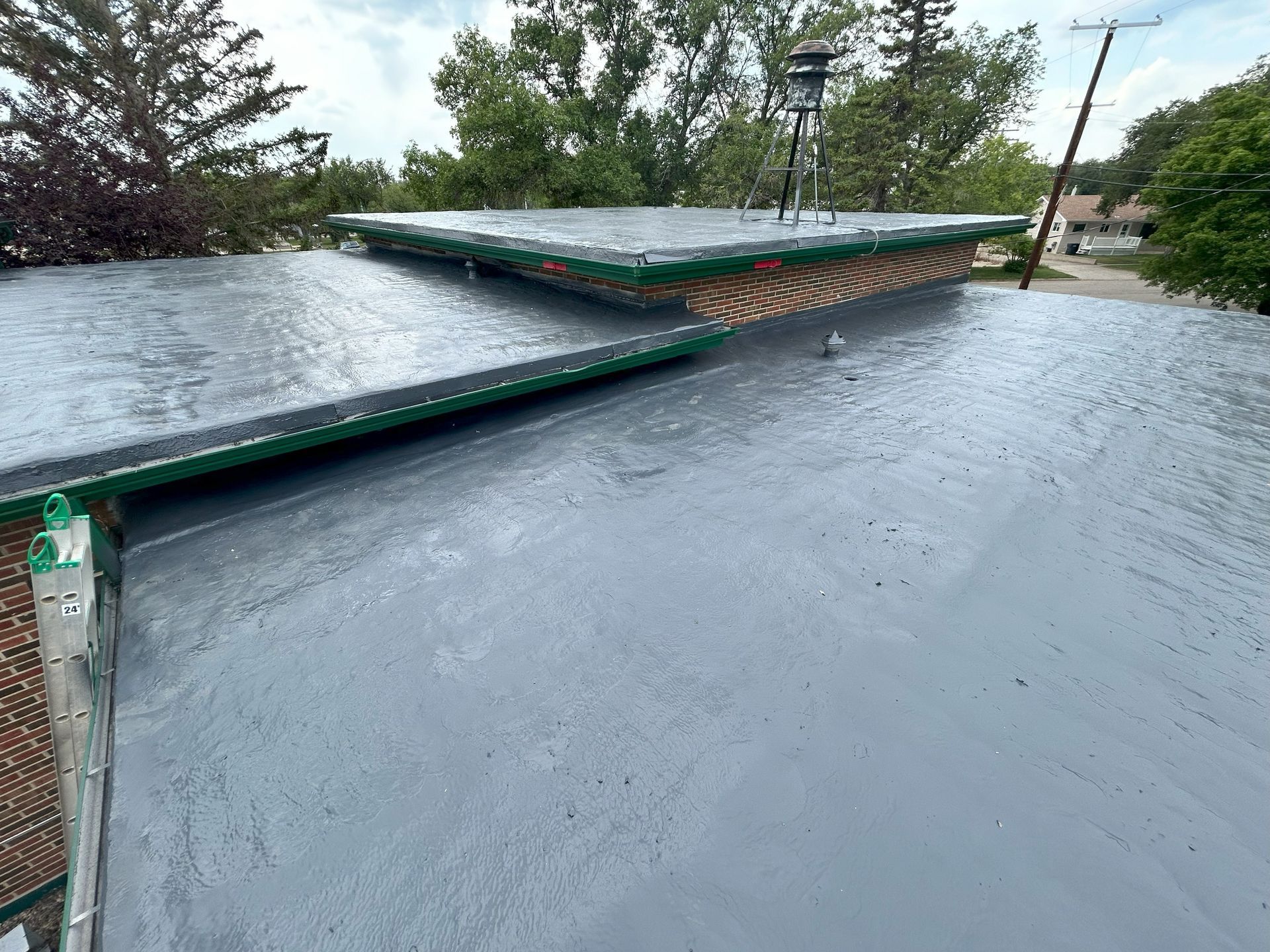 Flat roof with gray coating, green trim, and a chimney against a background of trees and sky.