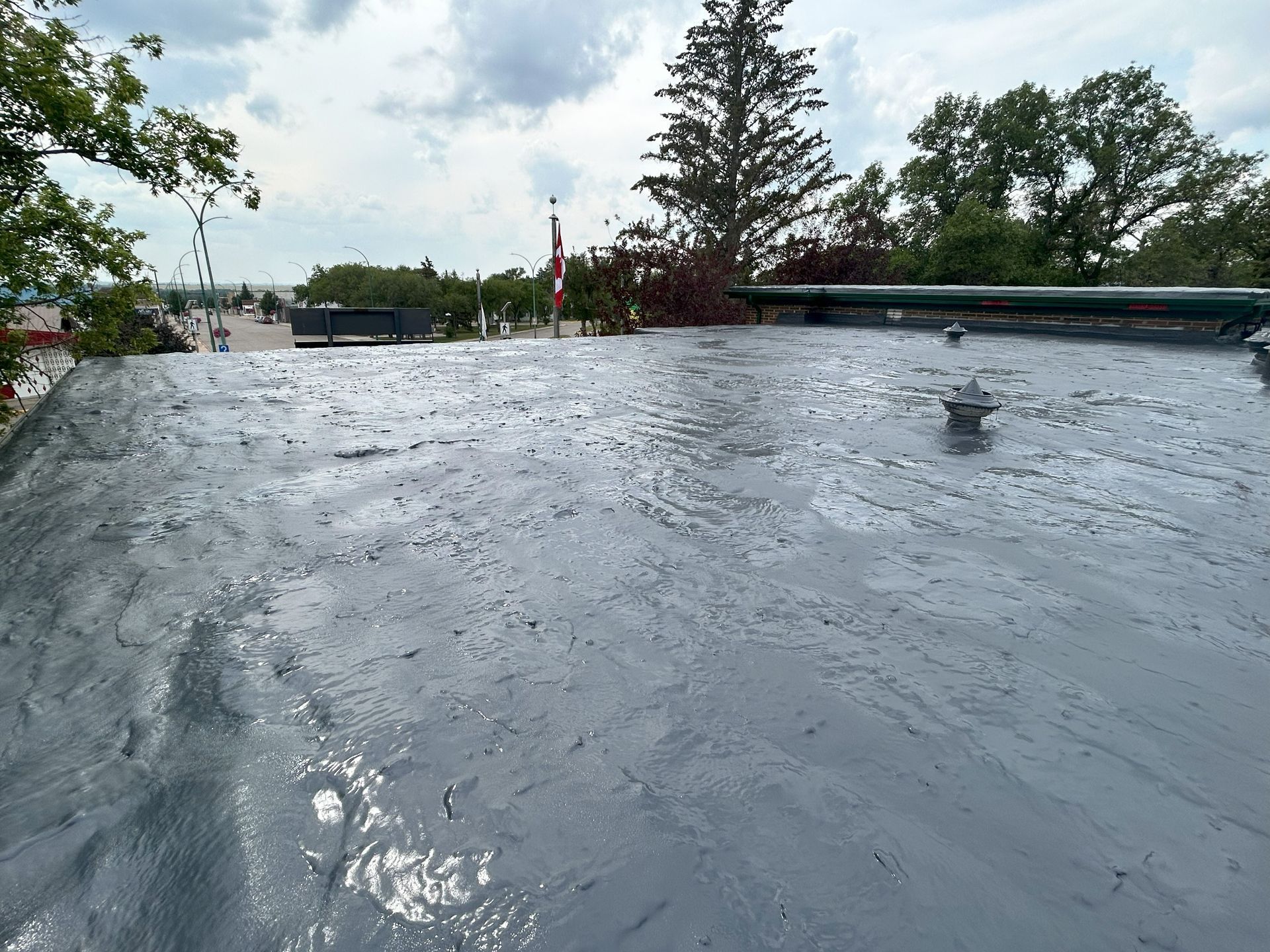 Gray, textured flat roof, with fasteners visible. Trees and a flag in the background under a cloudy sky.