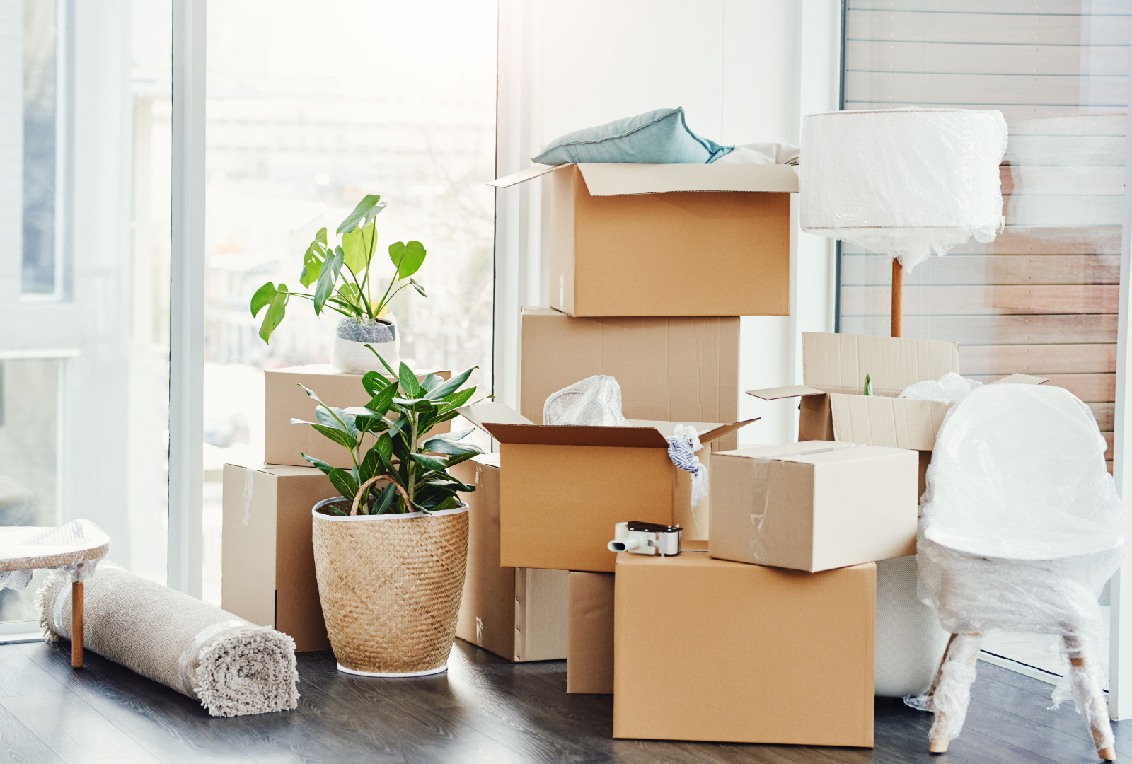 Packed moving boxes and houseplants in a bright room by a window, with a rolled rug on the floor.