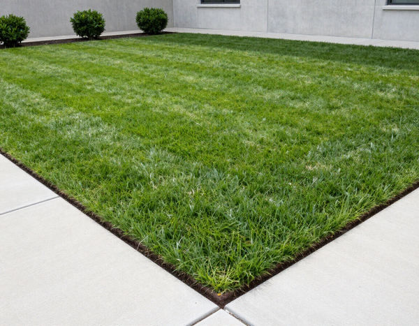 Landscaping crew maintaining commercial lawn