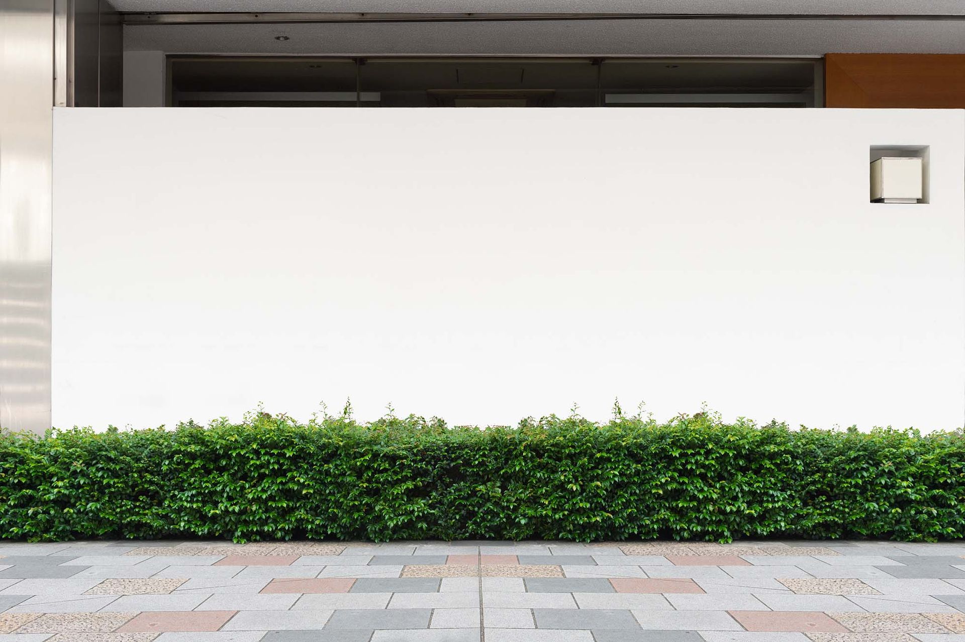Minimalist white building wall with a hedge and stone walkway in front