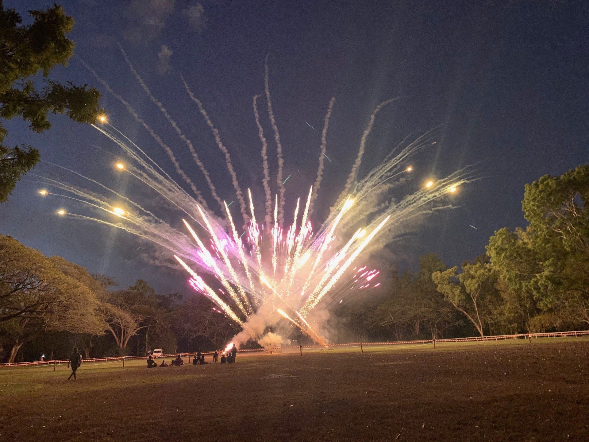A fireworks display in a park with trees in the background