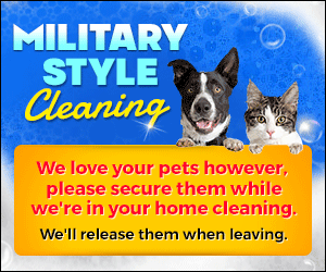 An ad for military style cleaning shows a dog and a cat