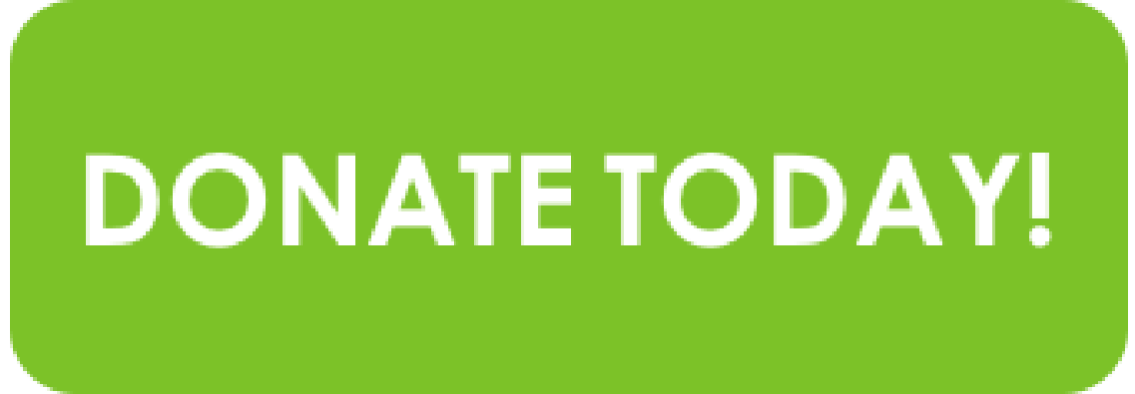 Contribute to our future - donate today! Contribute to our future - donate today!