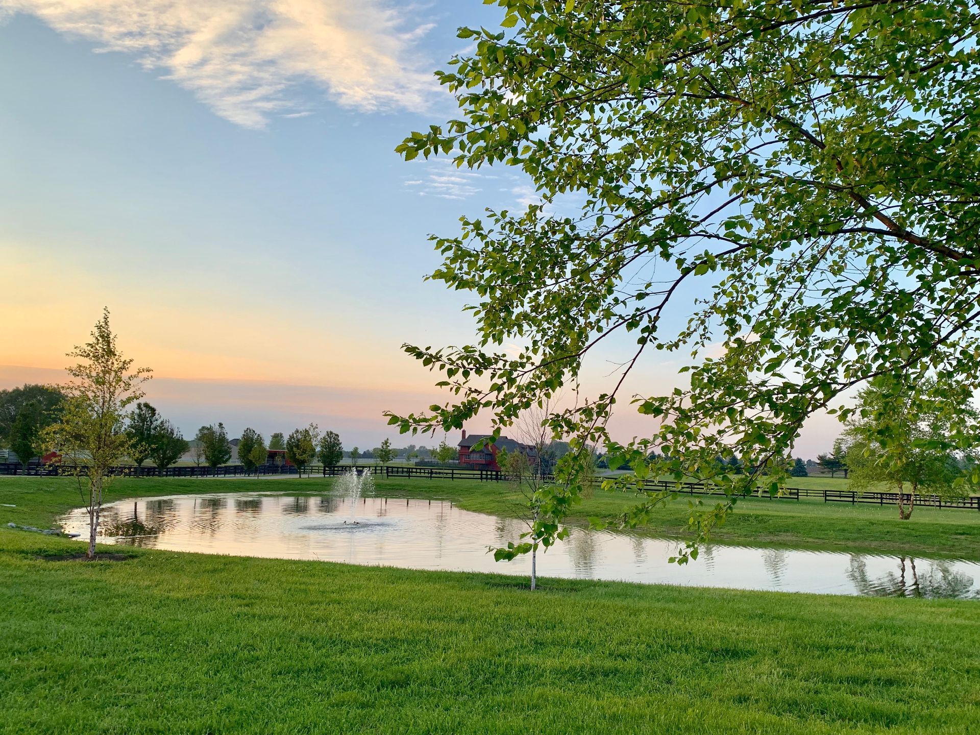 There is a pond in the middle of a grassy field.