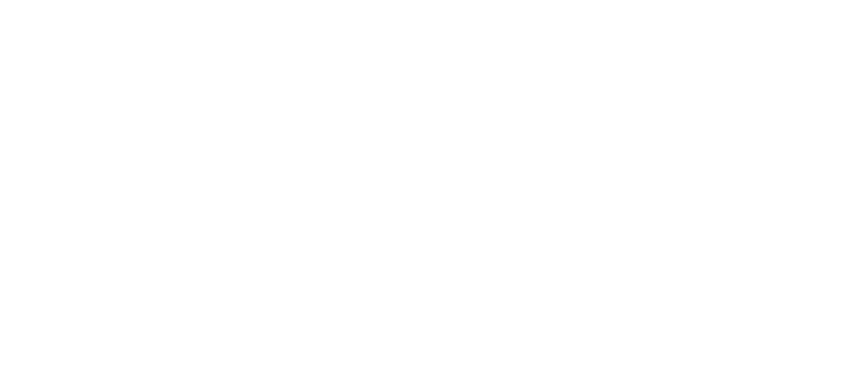 Penna company logo