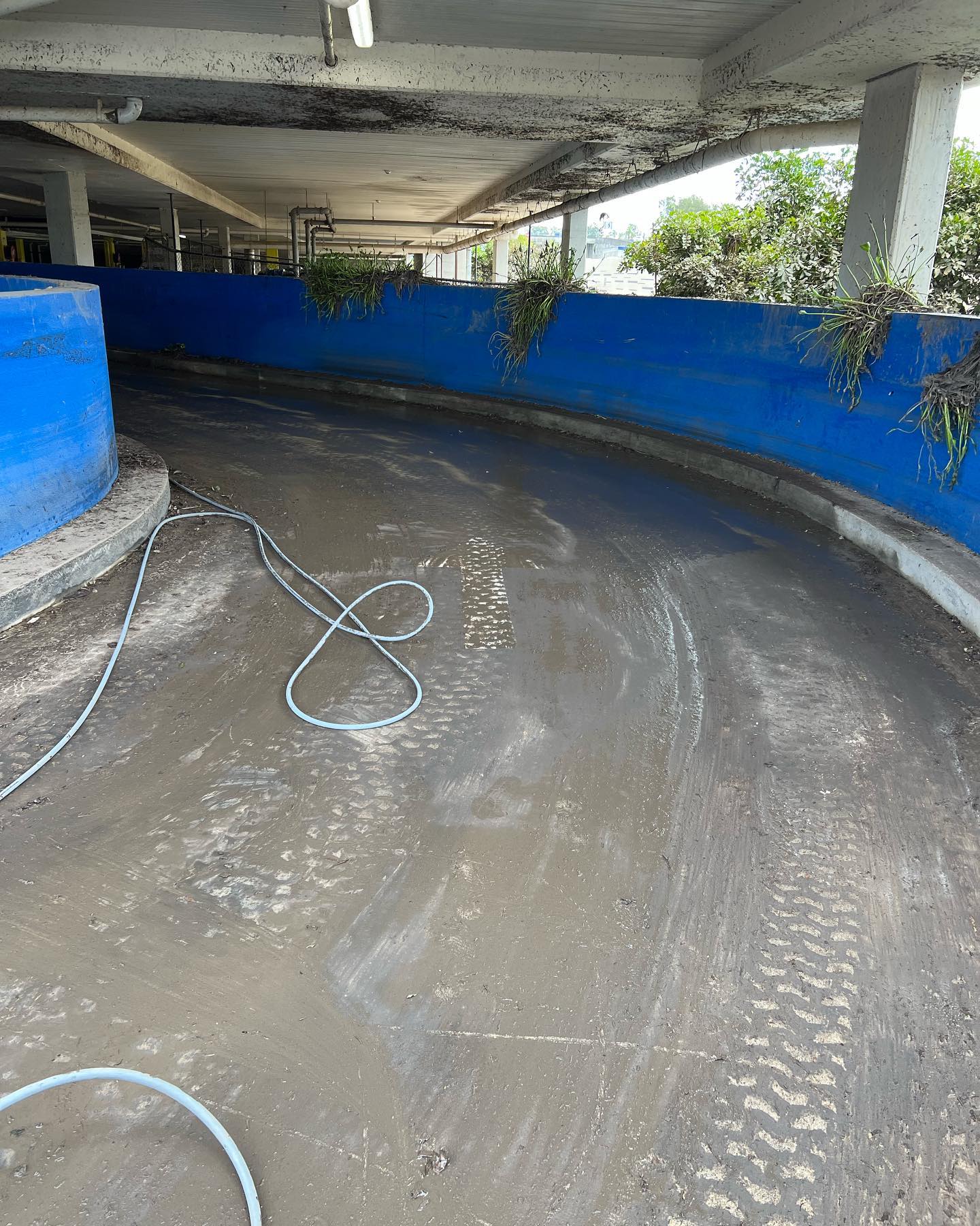 an image of a dirty driveway in need of more gold coast pressure cleaning