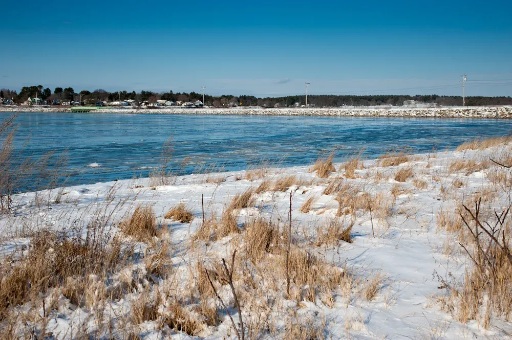 Snow-covered shoreline beside a blue river, with dry grasses in the foreground and distant trees under a clear sky
