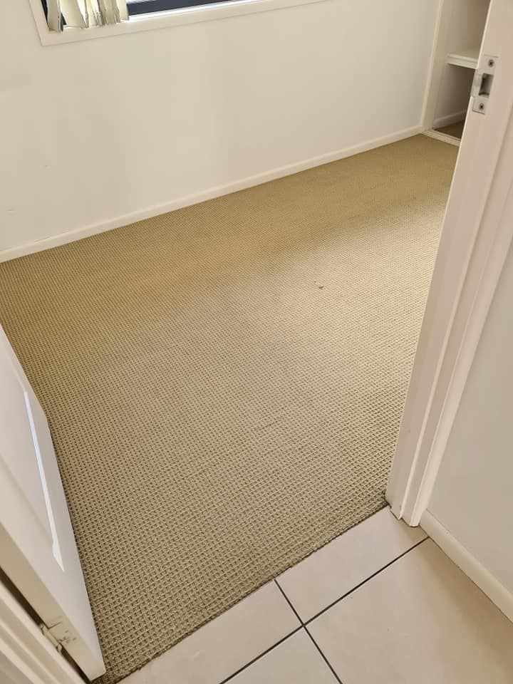 Room With Beige Carpet, White Walls, and a Window — Magic Mist Carpet Cleaning in Yeppoon, QLD