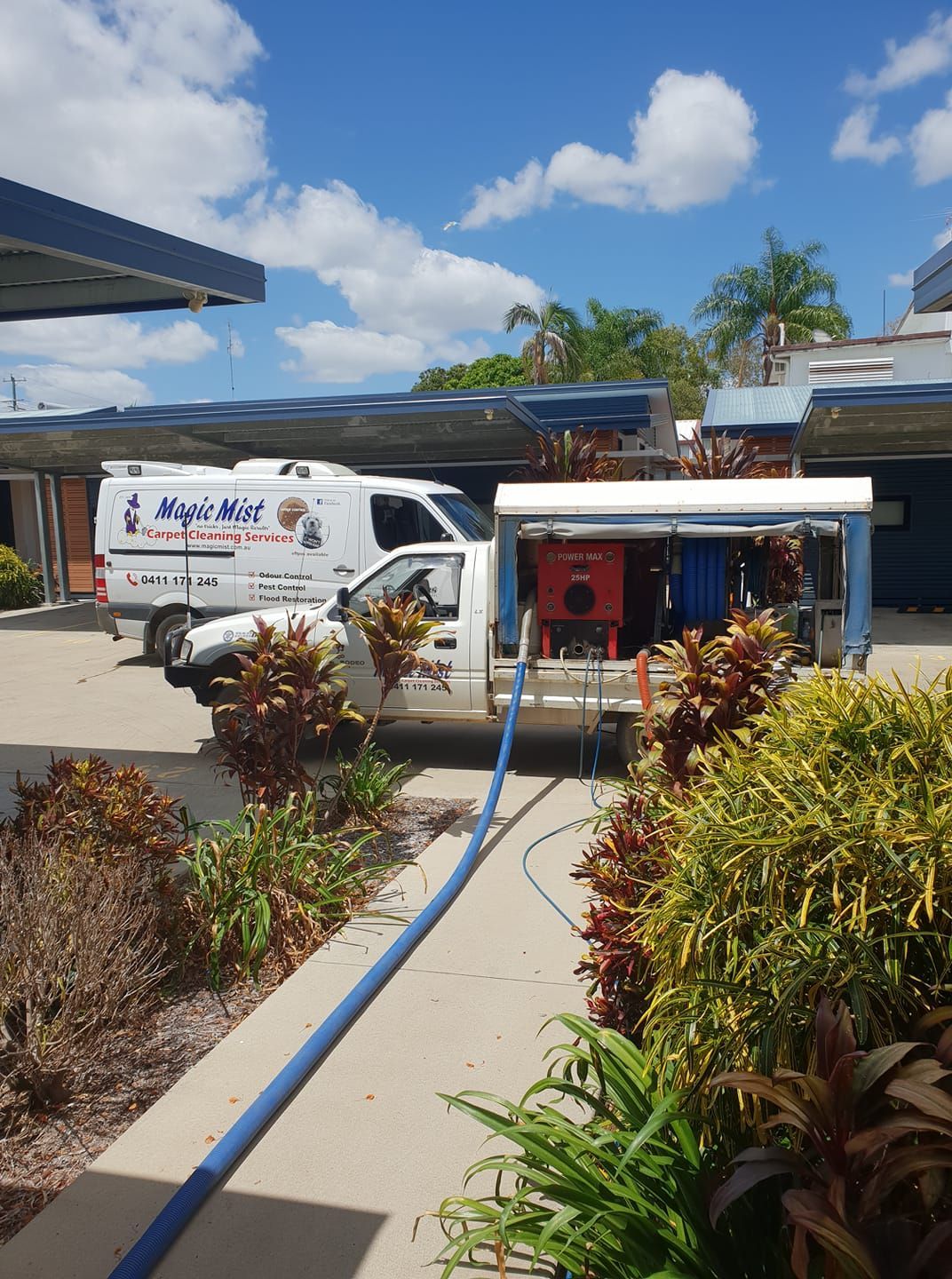 Green Patterned Carpet in an Empty Room — Magic Mist Carpet Cleaning in Rockhampton City, QLD