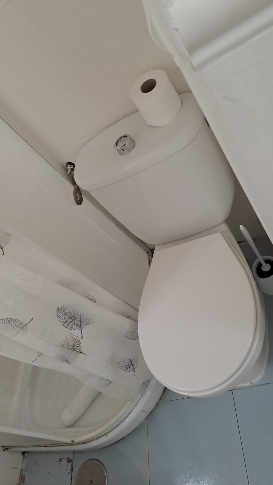 Inodoro en un baño pequeño; inodoro blanco, cortina de ducha y rollo de papel higiénico.