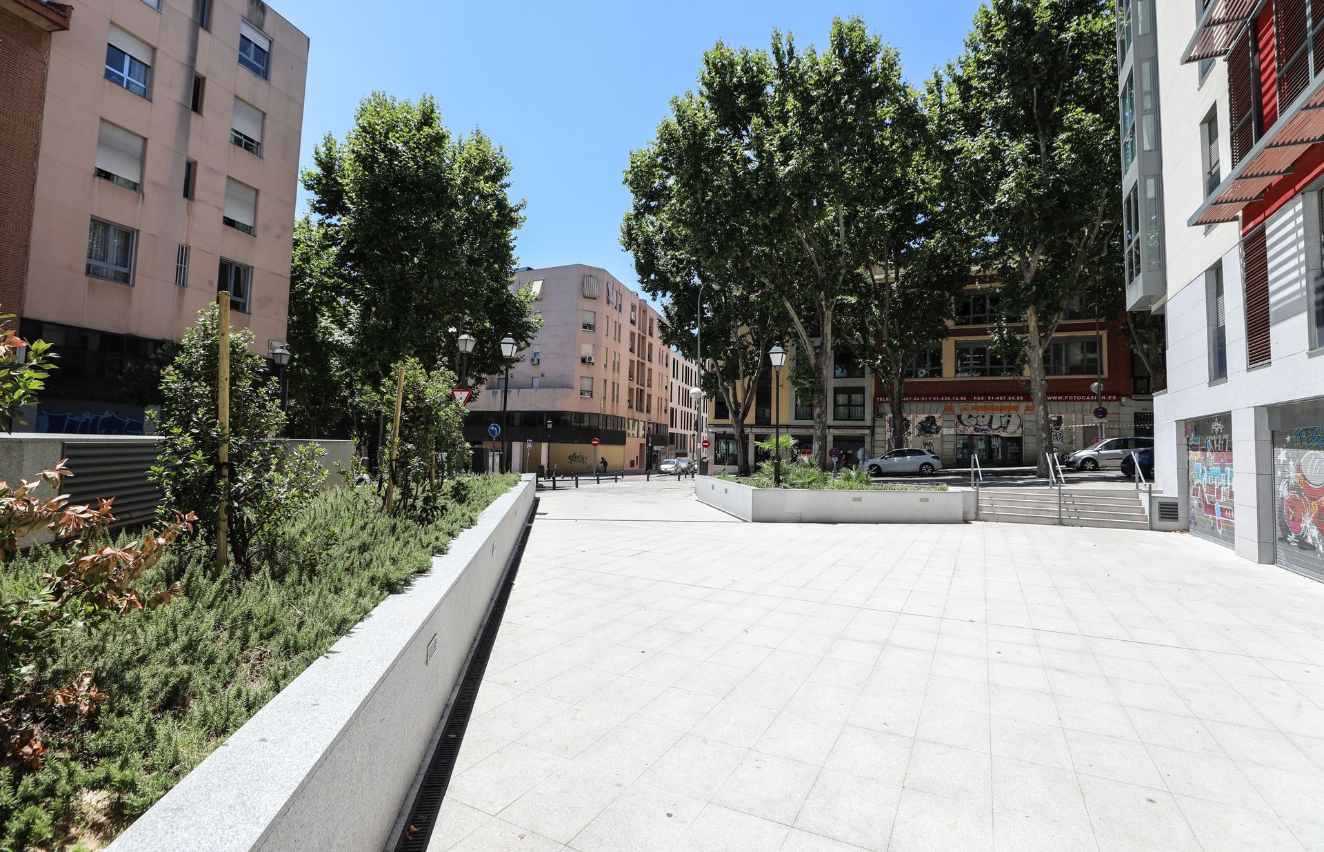 Una calle de la ciudad con árboles y edificios al fondo.