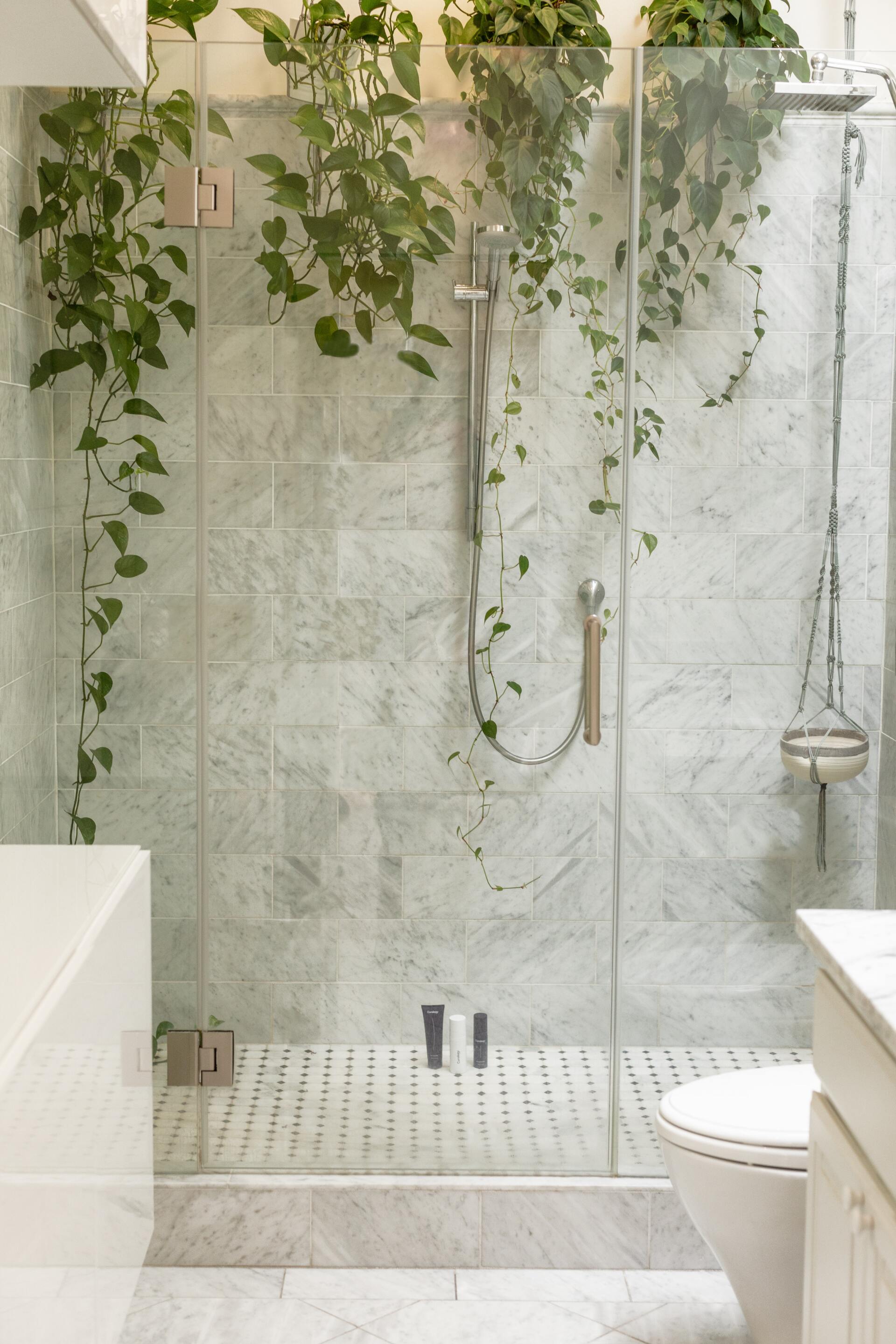 Un baño con ducha a ras de suelo y plantas colgando de las paredes.