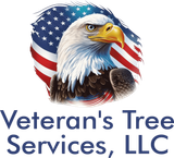 Bald eagle with American flag backdrop, logo for Veteran's Tree Services, LLC.