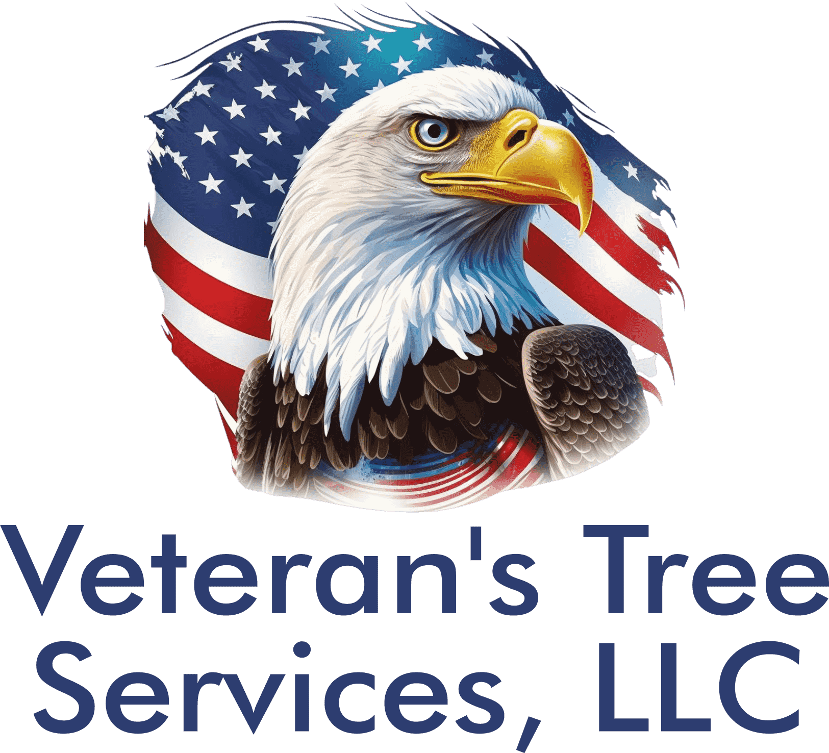 Bald eagle with American flag backdrop, logo for Veteran's Tree Services, LLC.